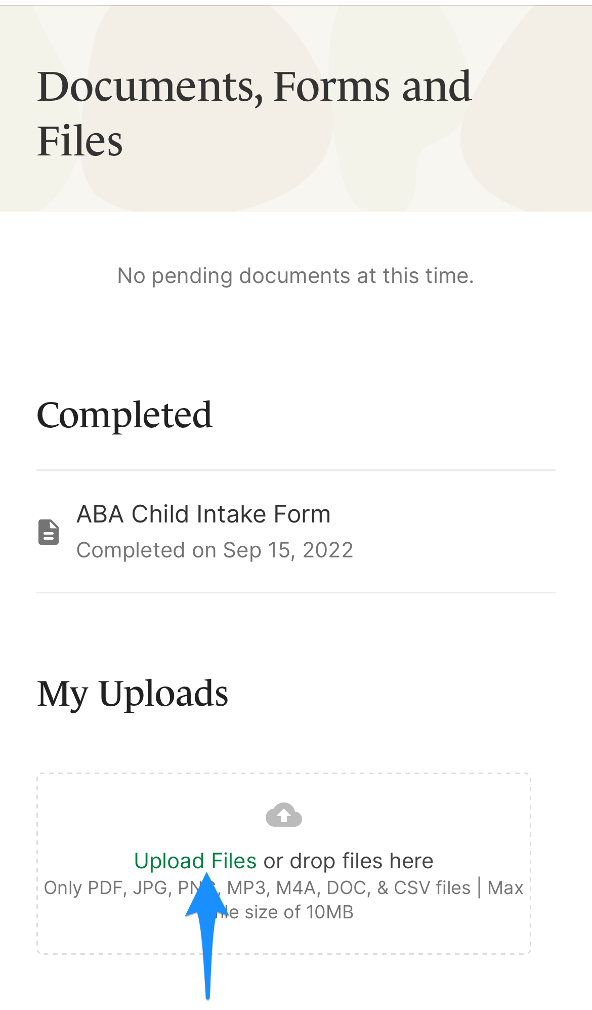 uploadfiles.simplepractice.clientportalapp.png