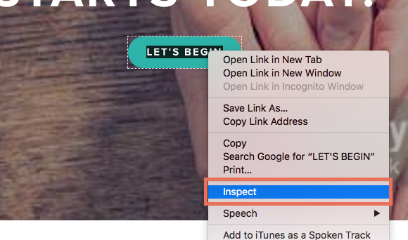 Customizing -- inspect button.png
