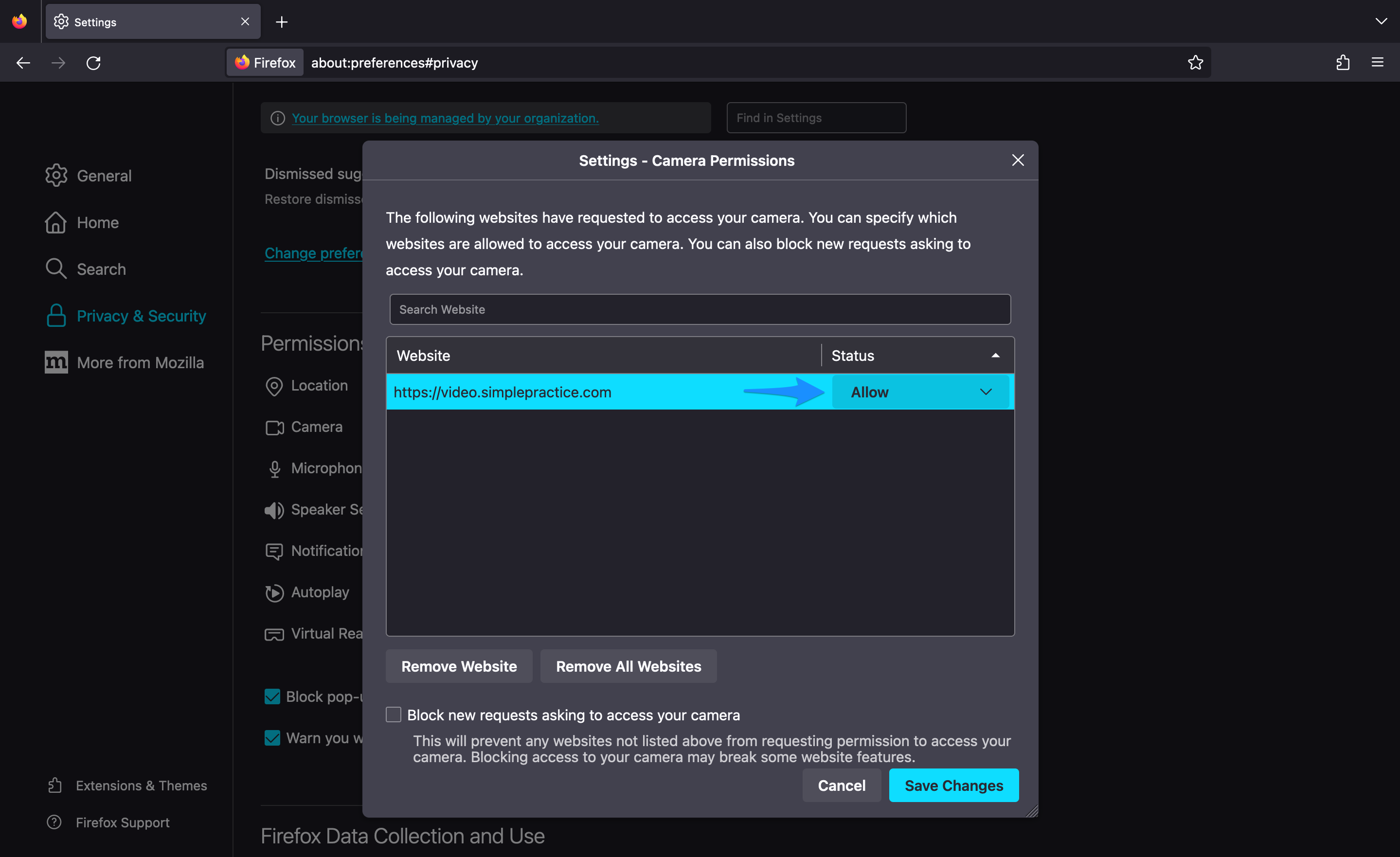 enablefirefoxcam.simplepractice.firefoxsettings.png
