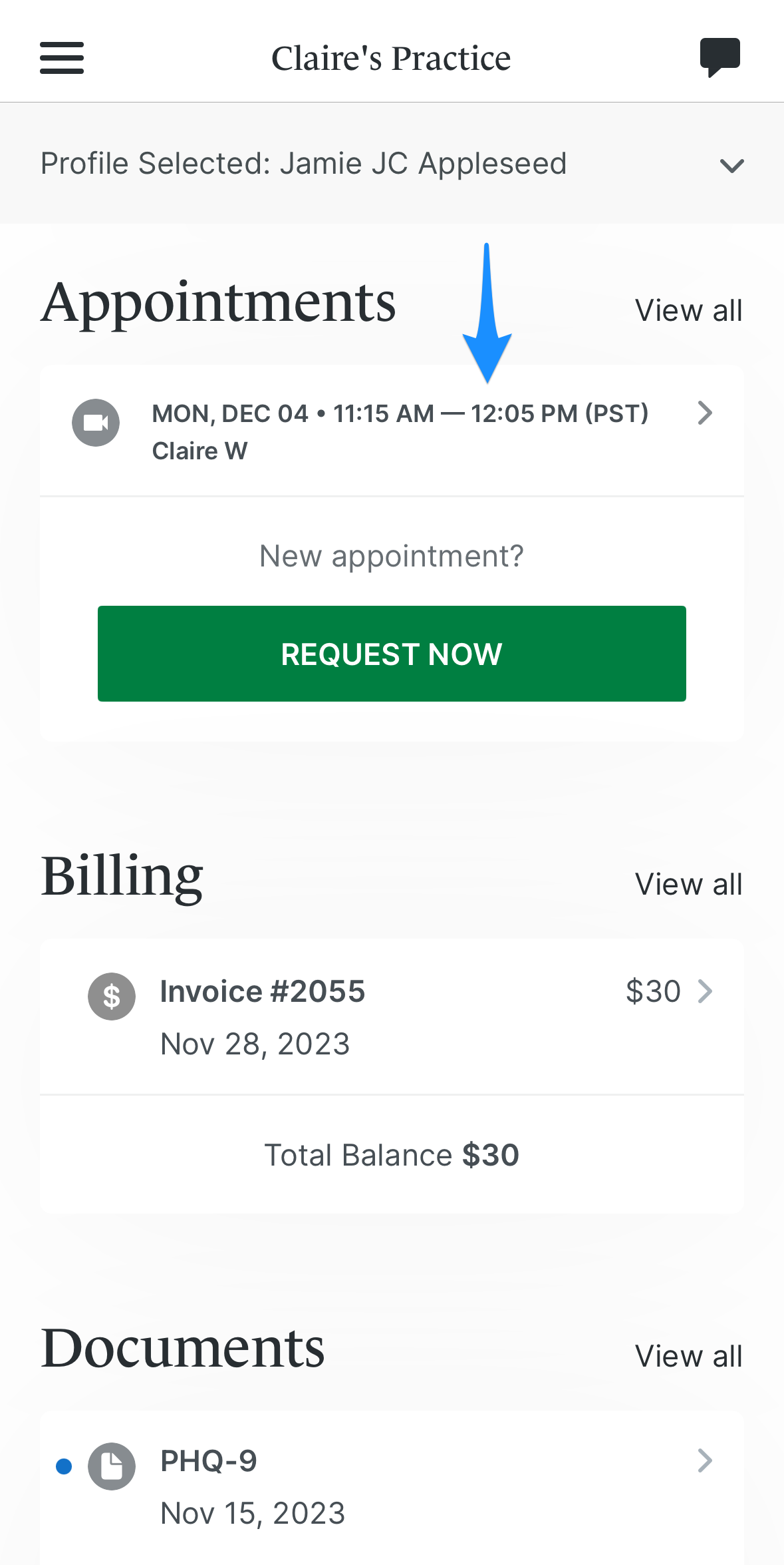 selectappointment.simplepractice.clientapp.png