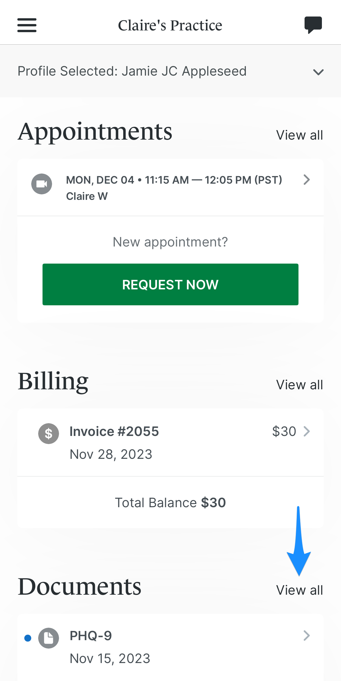 viewalldocuments.simplepractice.clientapp.png