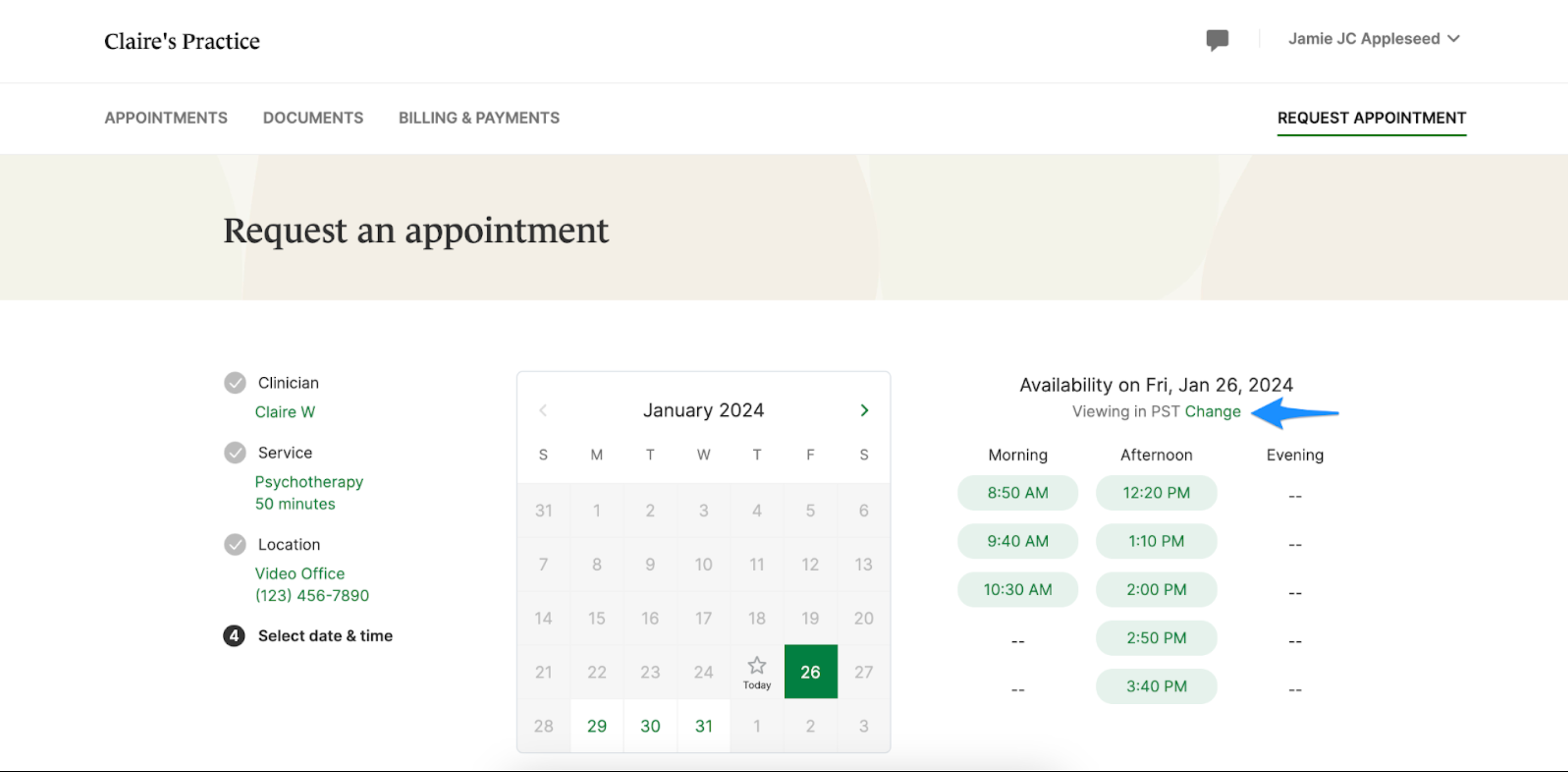 changetimezone.clientportal.requestanappointment.png