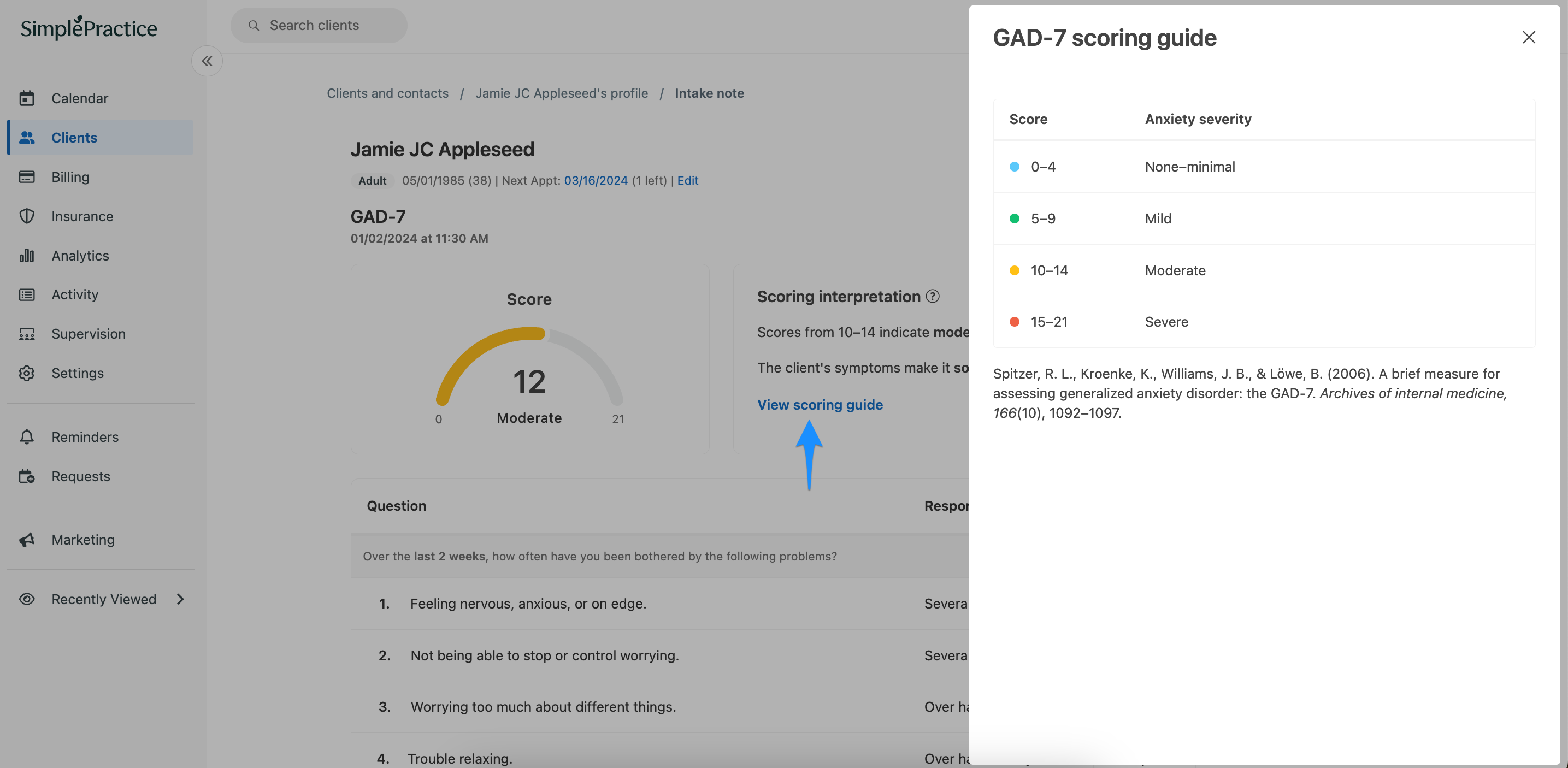 viewscoring.simplepractice.measures.png