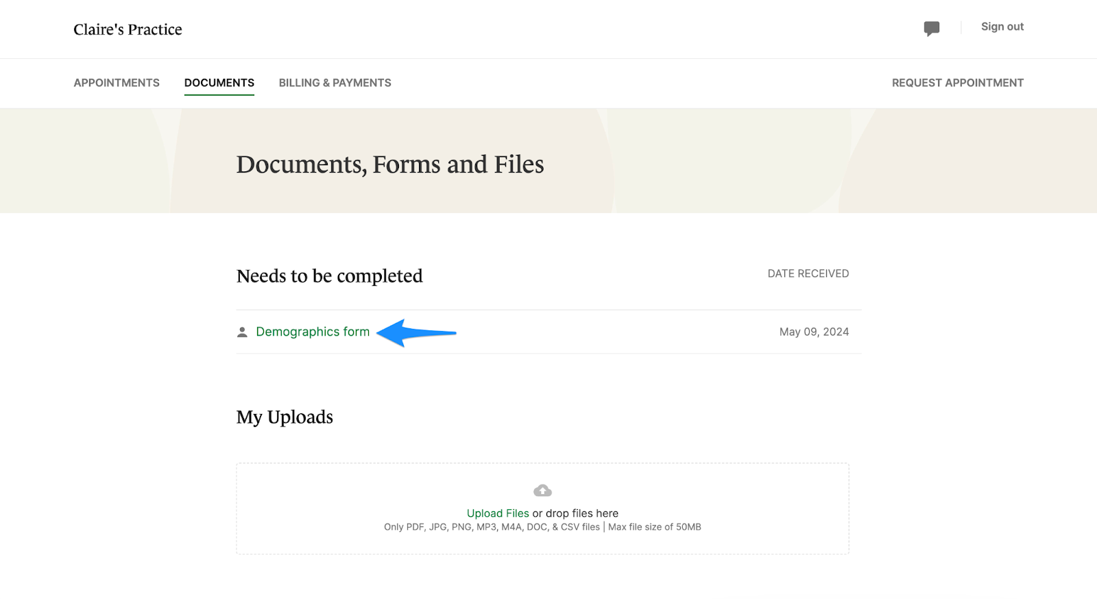 demographicsform.clientportal.documents.png