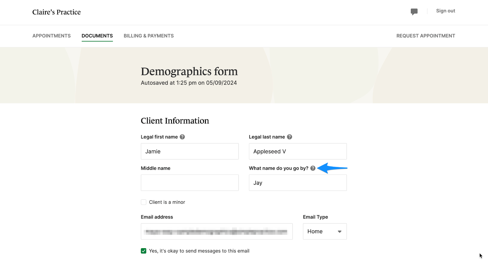 whatnamedoyougoby.clientportal.demographicsform.png