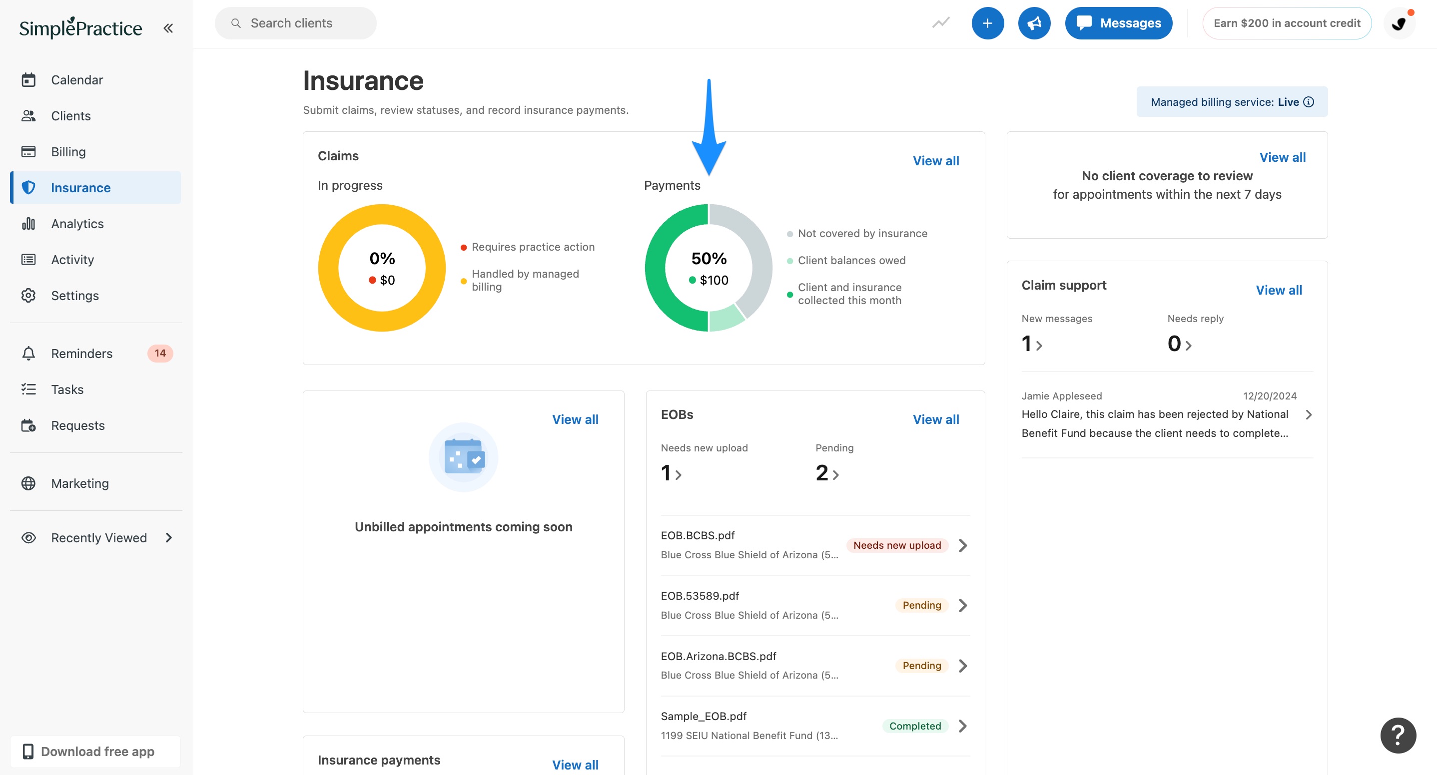 paymnetsnapshot.simplepractice.managedbilling.jpg