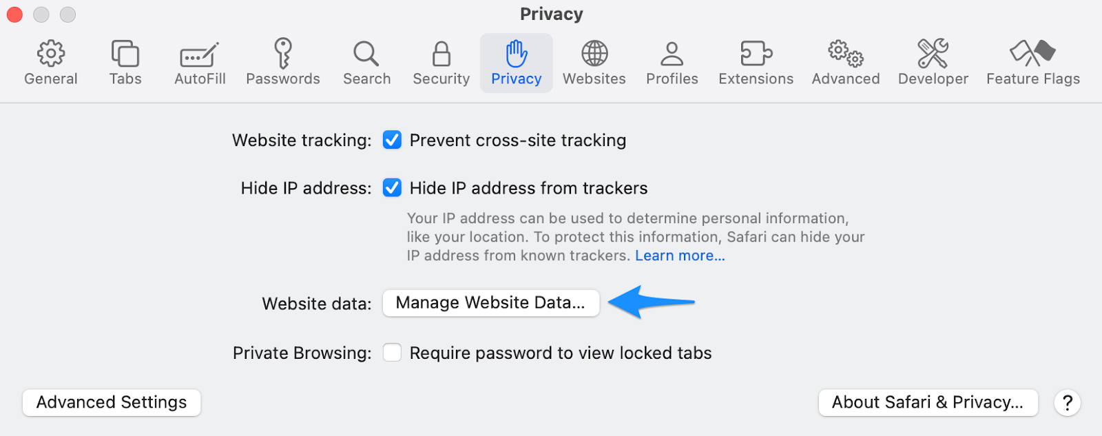 Manage Website Data.png
