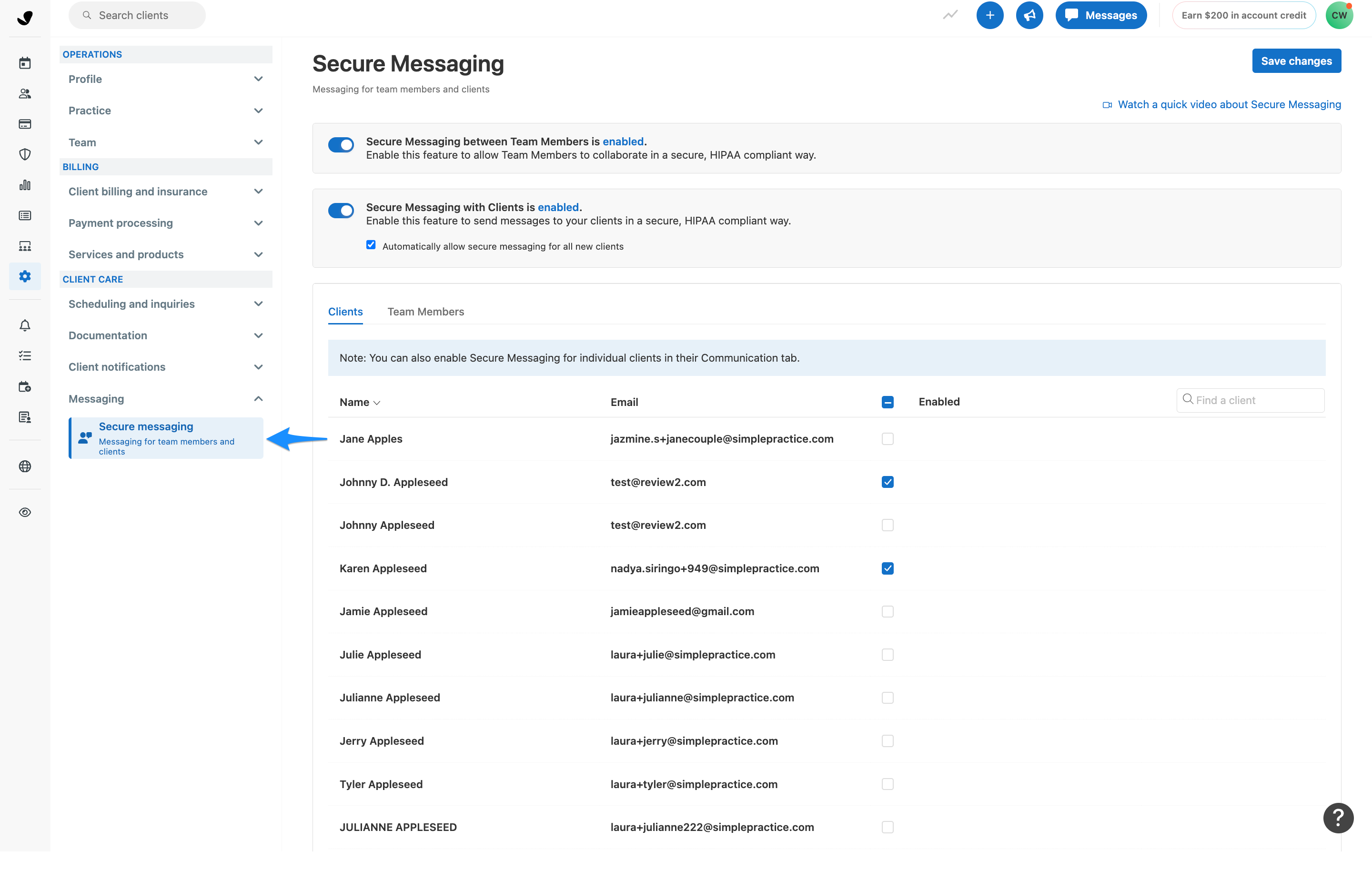 securemessaging_simplepractice_settings.png