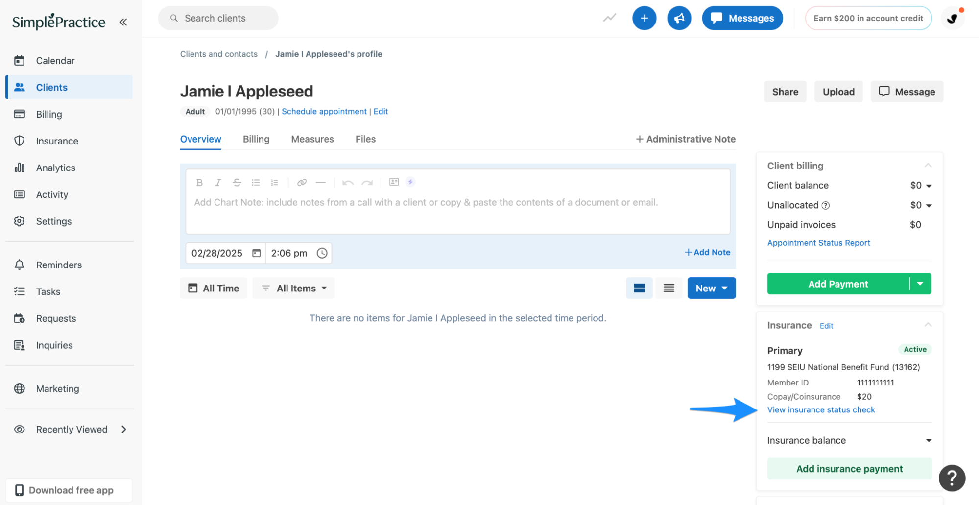 viewstatuscheck.simplepractice.statuschecks.png