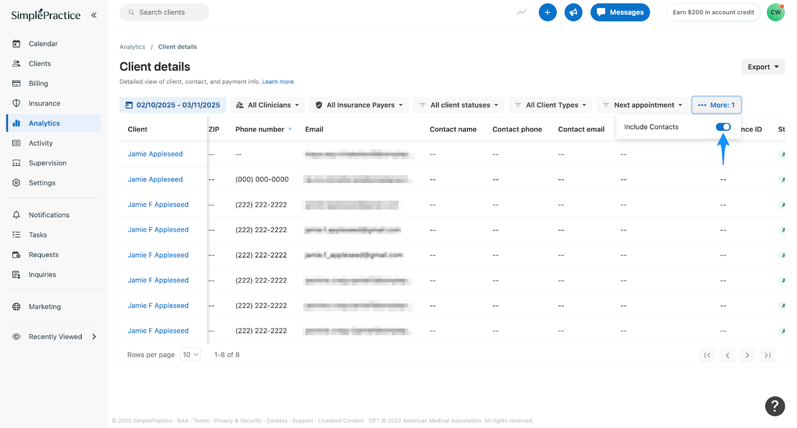 more.simplepractice.clientdetails.png