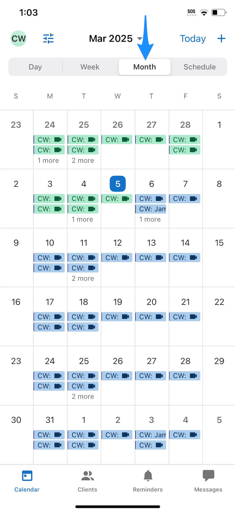 monthview.simplepracticemobileapp.calendar.png