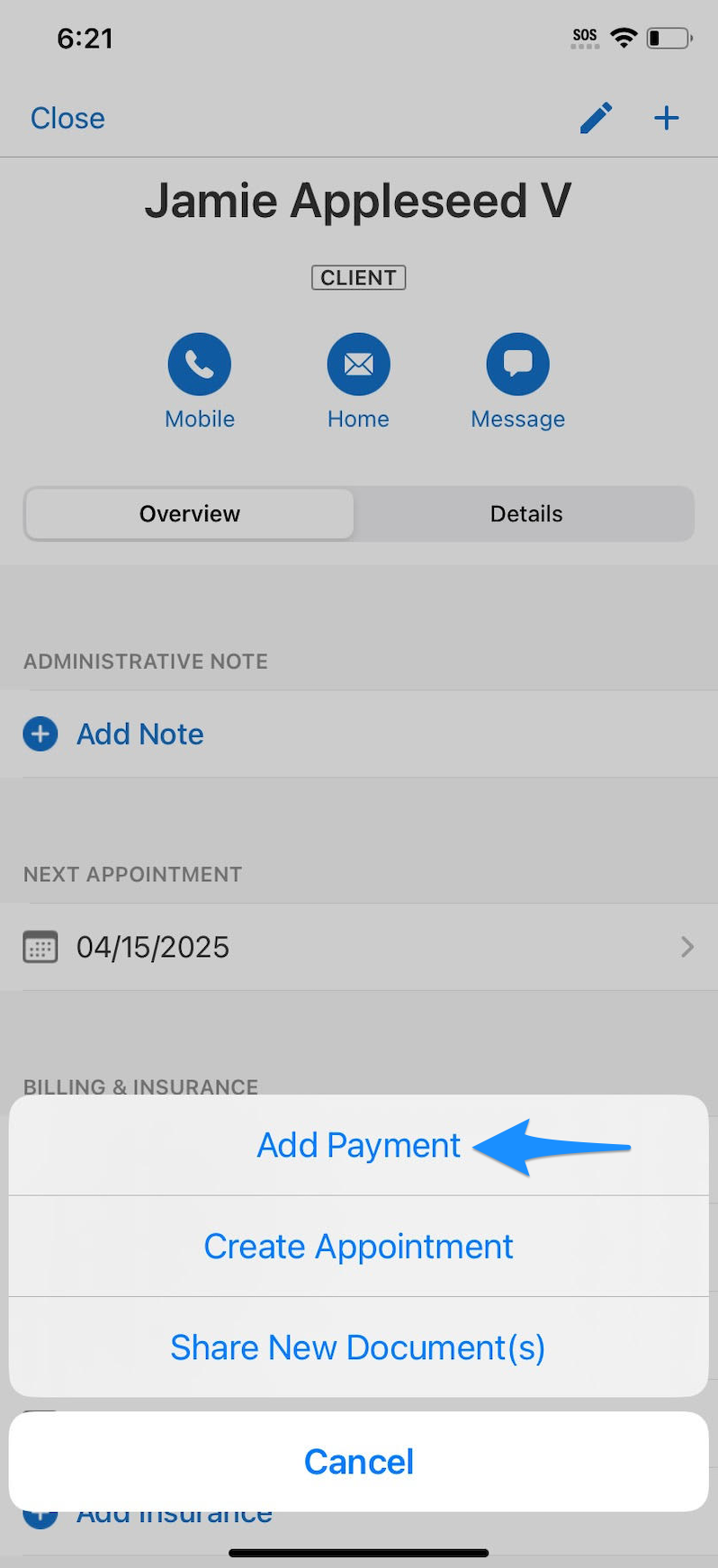 addpayment.legacysimplepracticemobileapp.clientoverview.png
