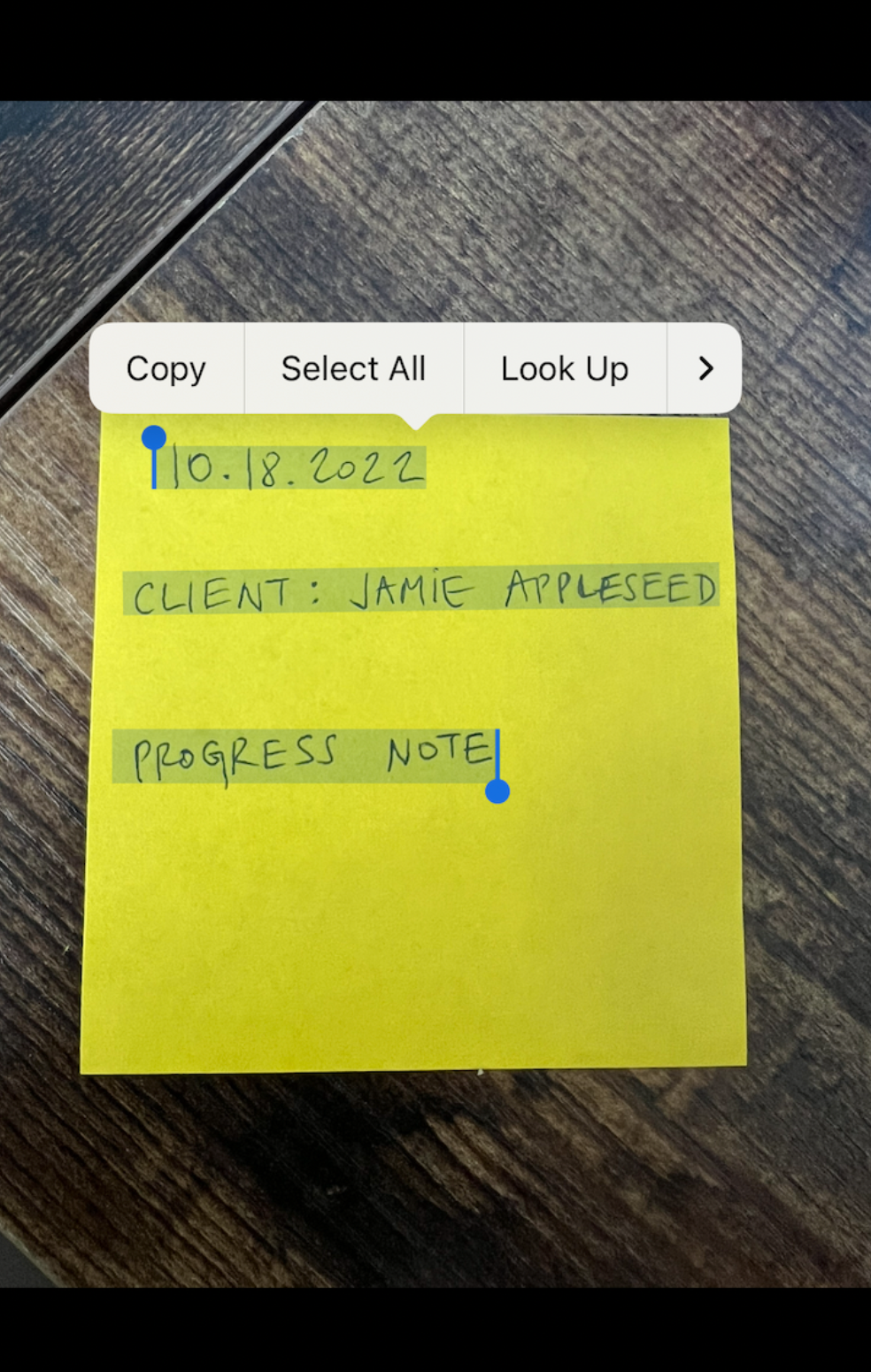 selectall.iphoneapp.livetext.png