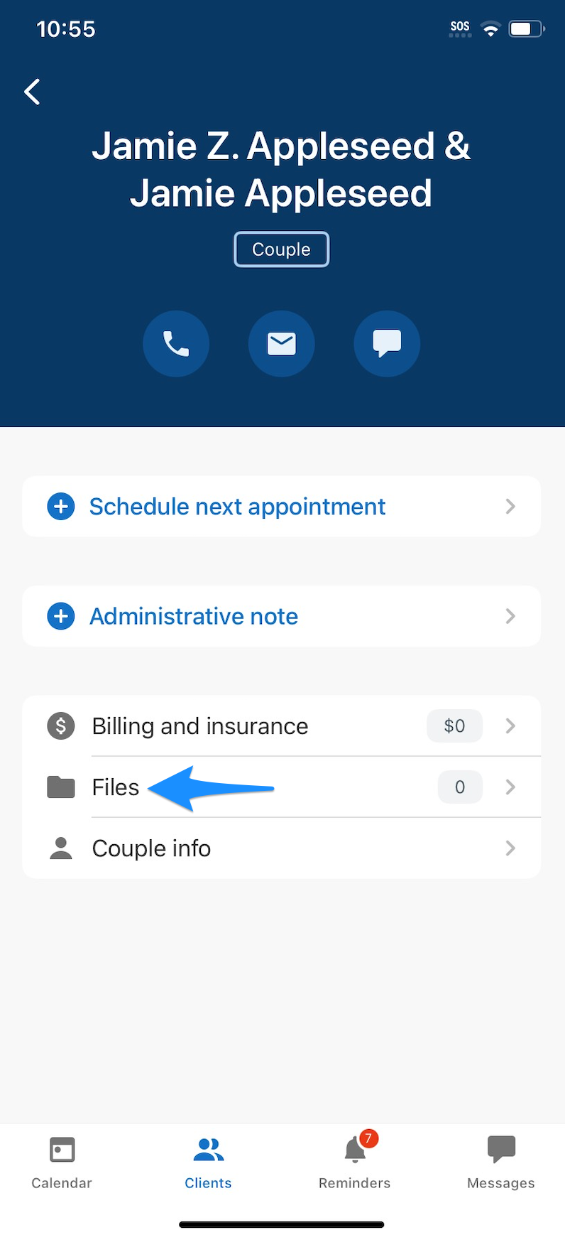 files.simplepracticemobileapp.clientoverview.png