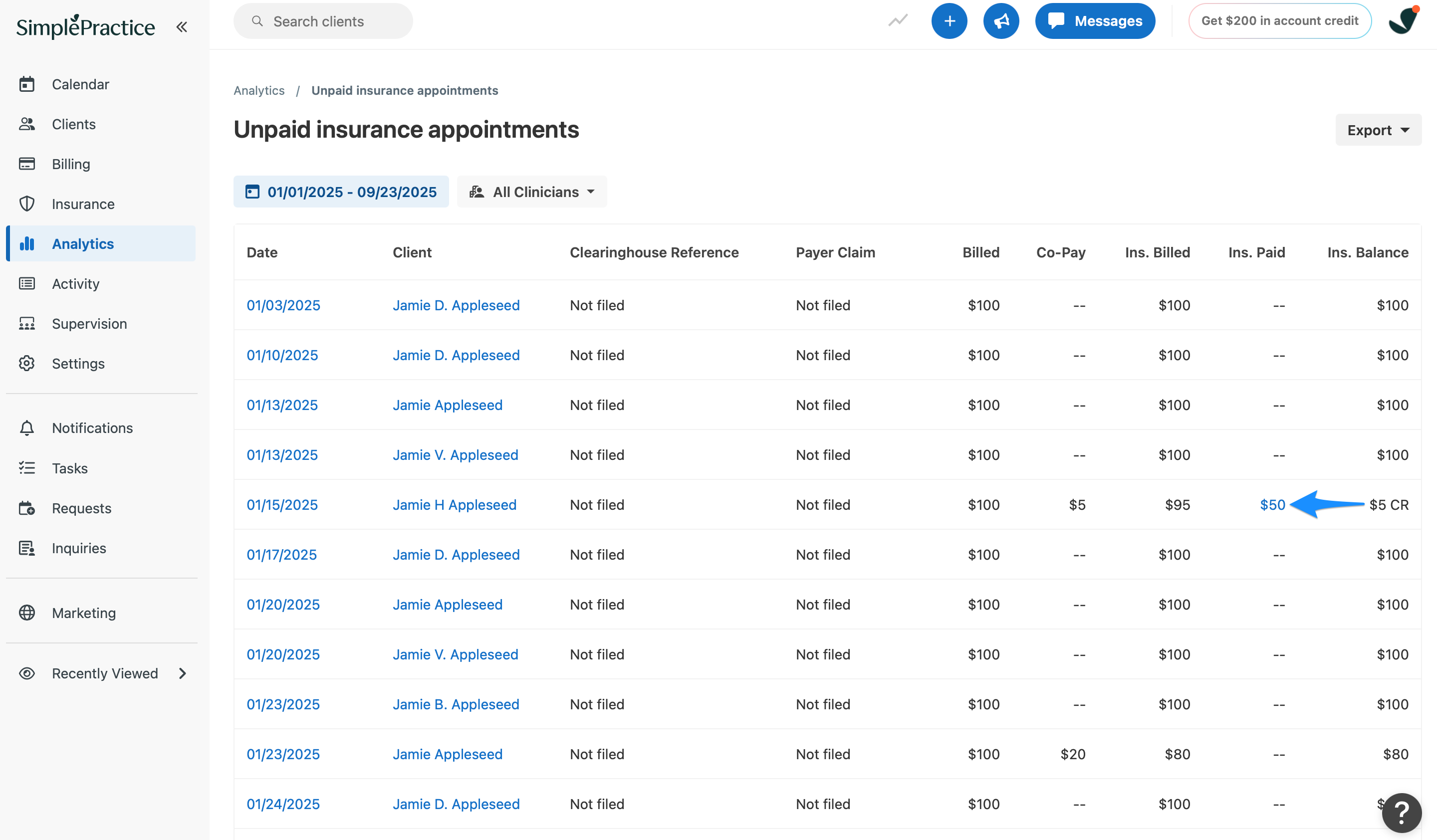 insurancepaid.simplepractice.reports.png
