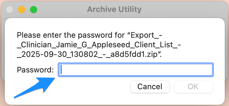 Password prompt shown when opening a protected zip file