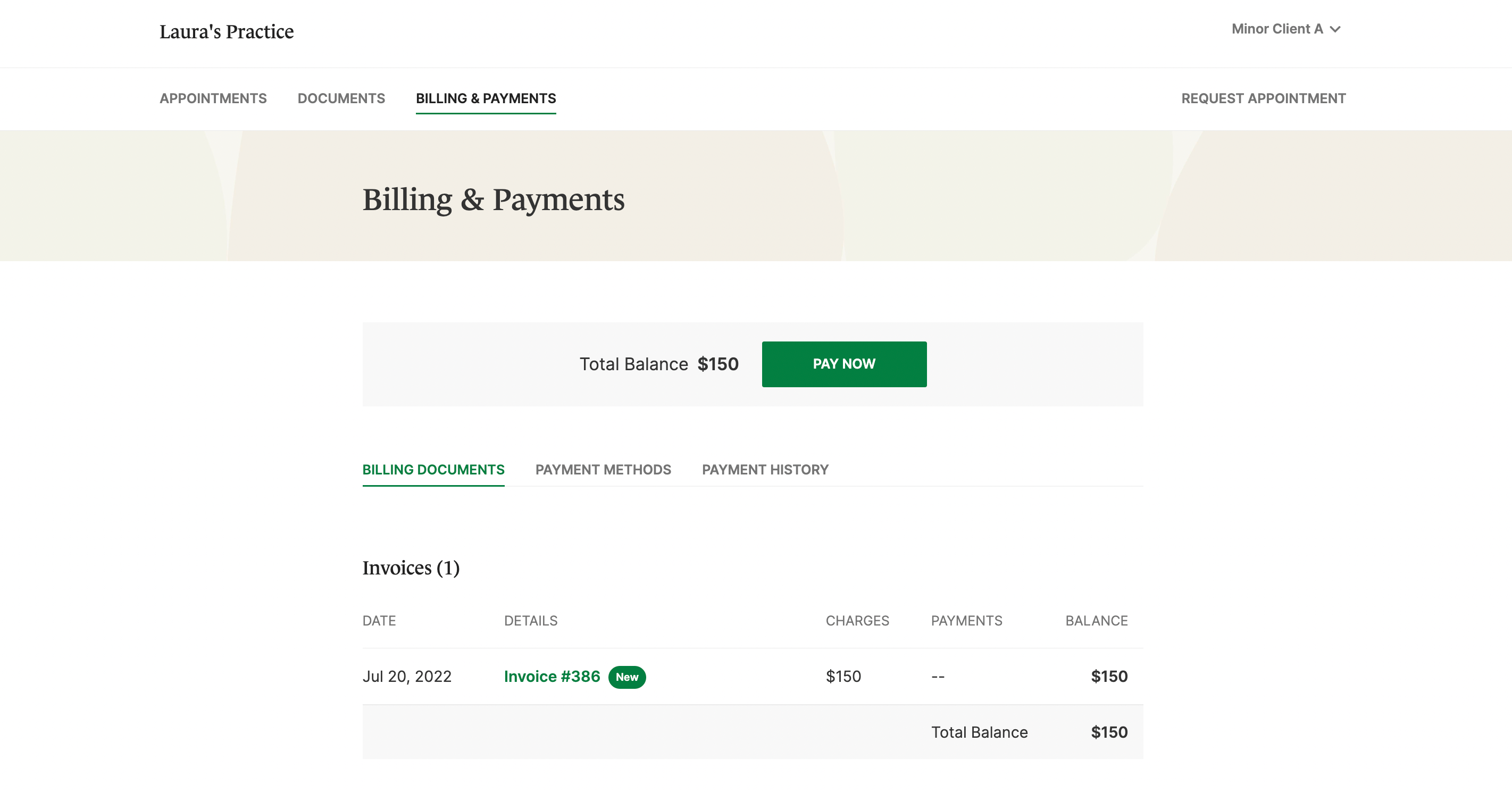 Billing & Payments section in the Client Portal for a contact