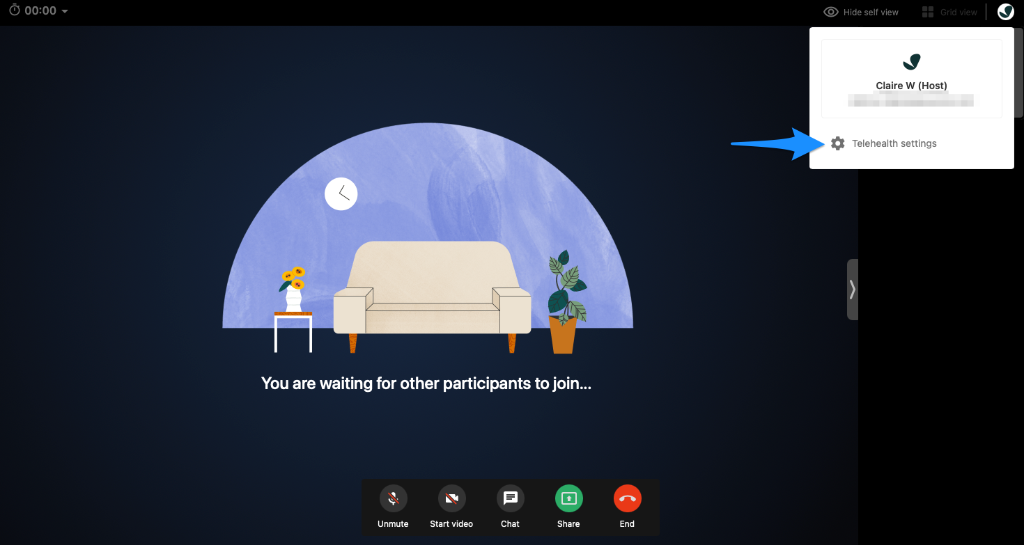Telehealth settings screen showing the option to adjust session settings, including background
