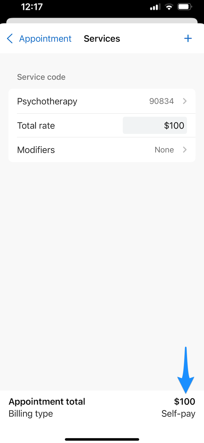 Services screen showing appointment total at the bottom in the SimplePractice mobile app