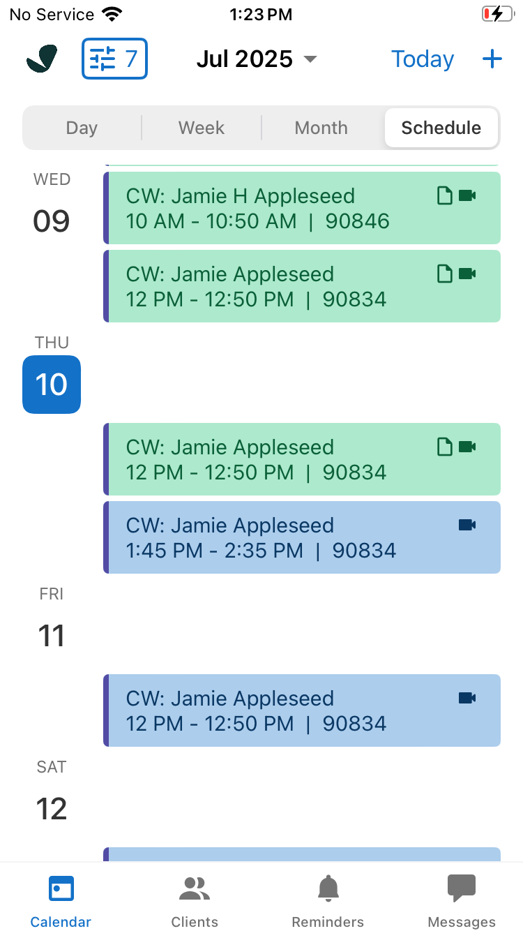 Schedule view showing a list of appointments for the day in the mobile app