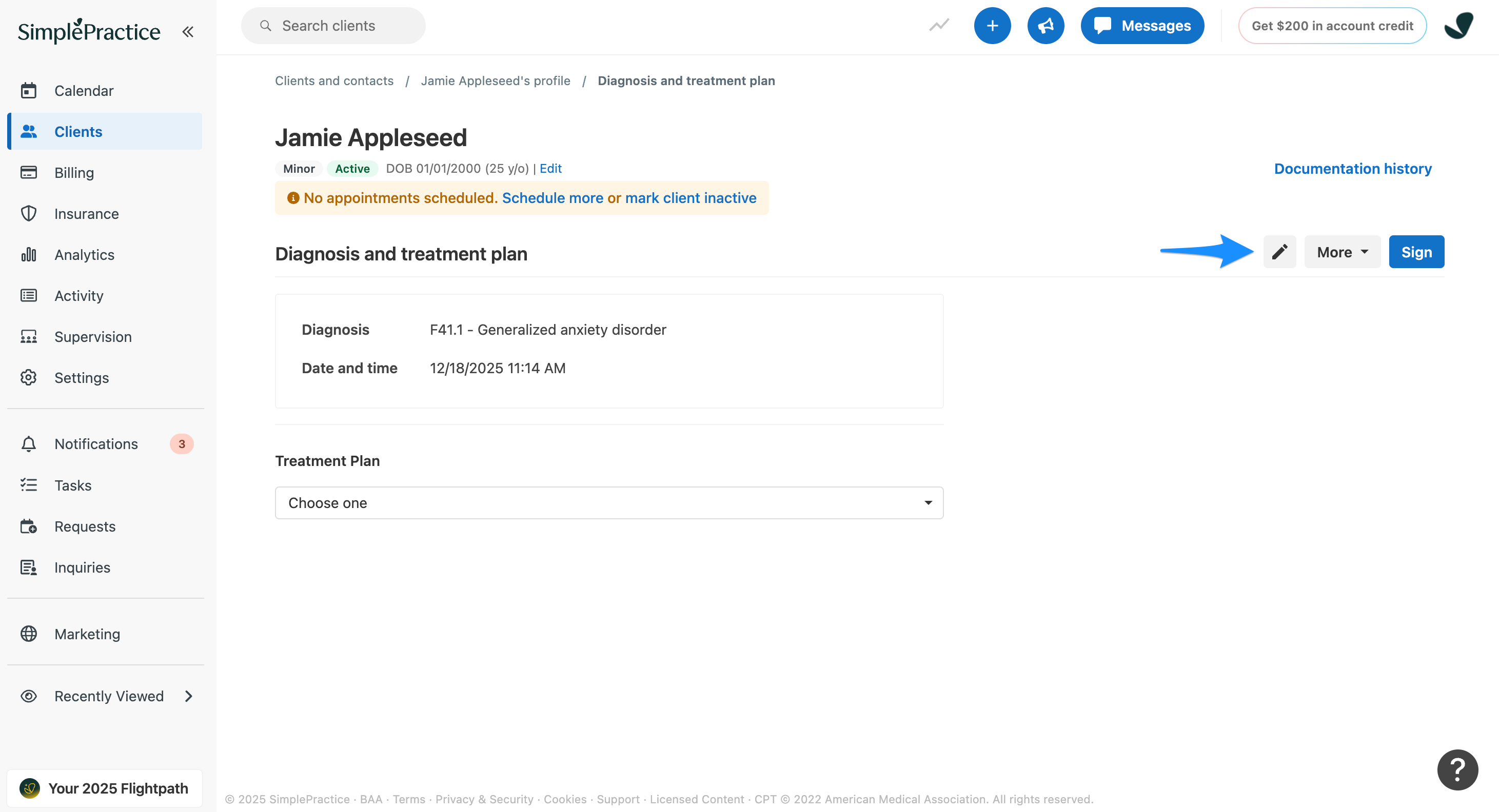 Client Overview showing a Diagnosis and treatment plan with the pencil icon to edit