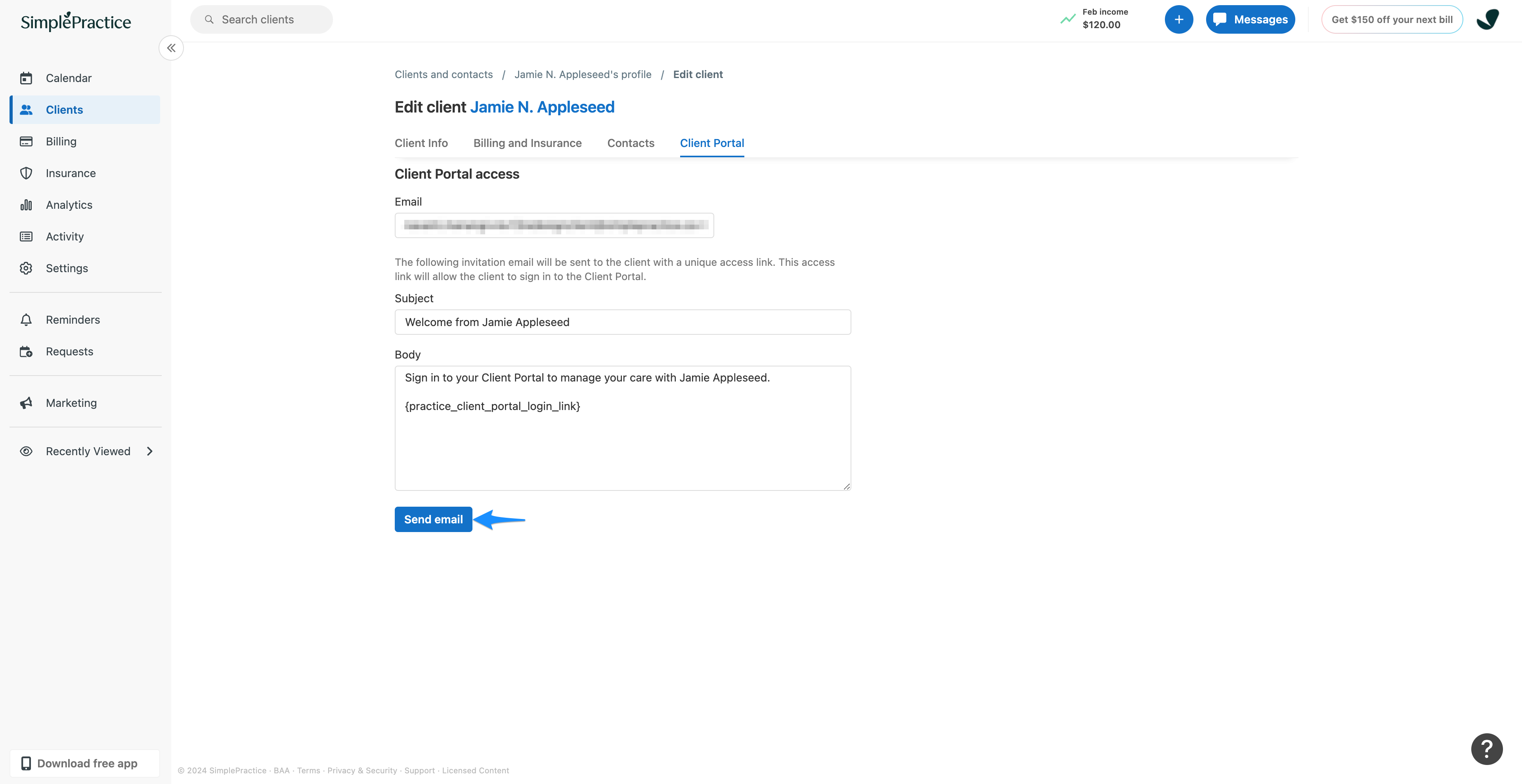 Client Portal tab on the client Overview page showing the Send email button for invitations