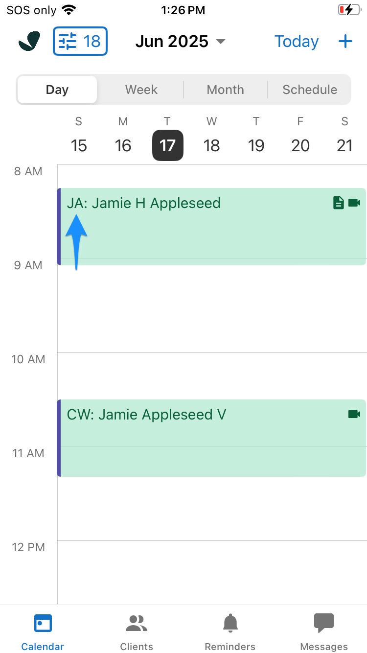 Calendar appointment showing clinician initials before the client name in the mobile app