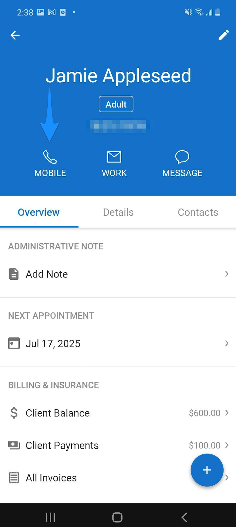 Client Overview page showing contact icons at the top of the screen