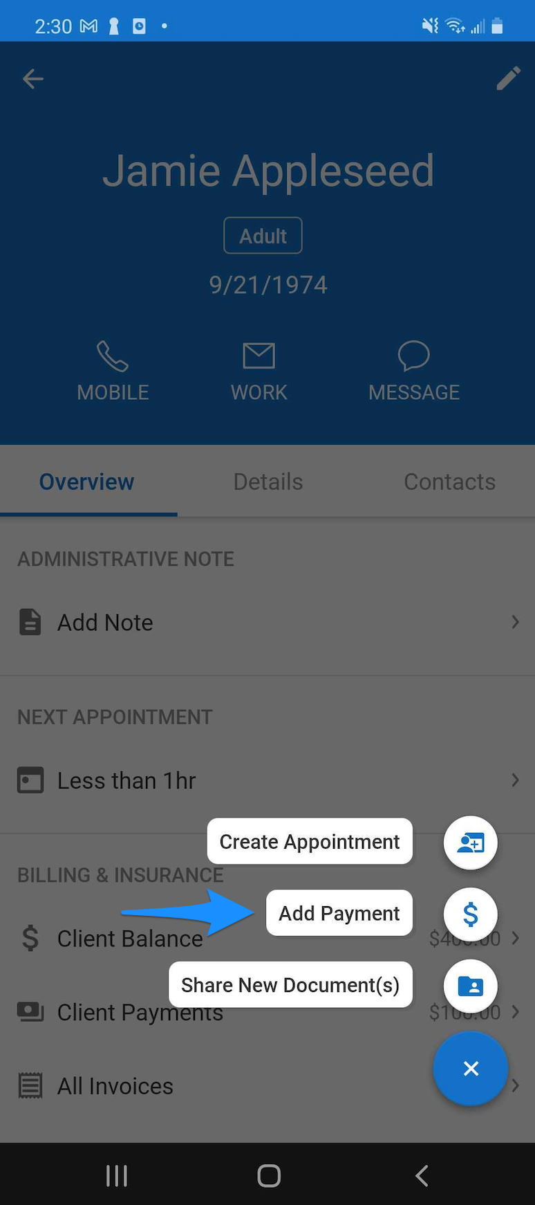 Client Overview page showing the + menu with Add Payment selected