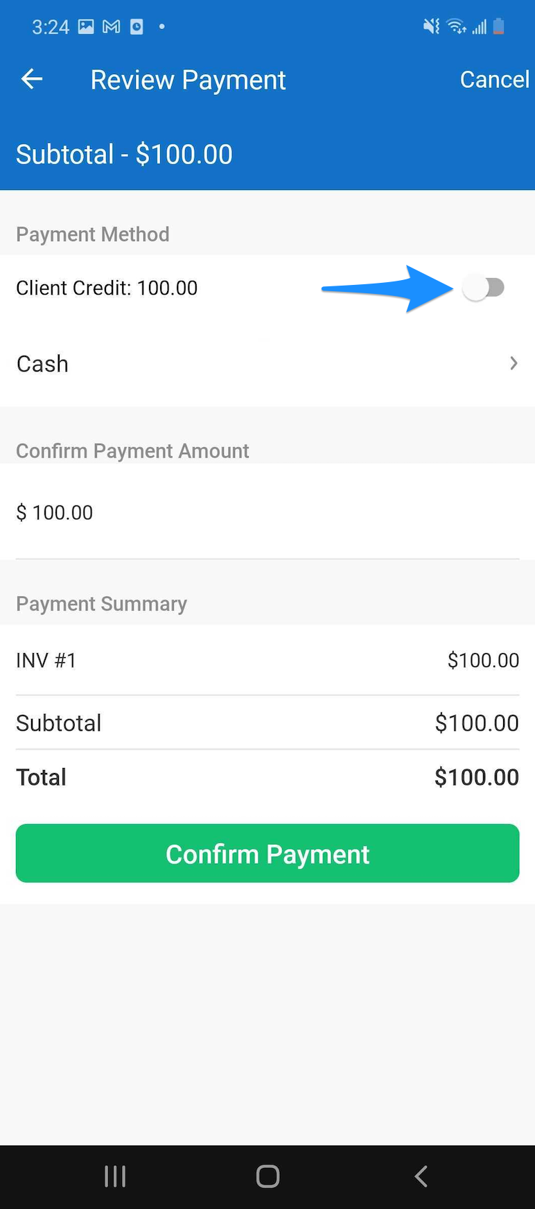 Payment screen showing the Client Credit toggle