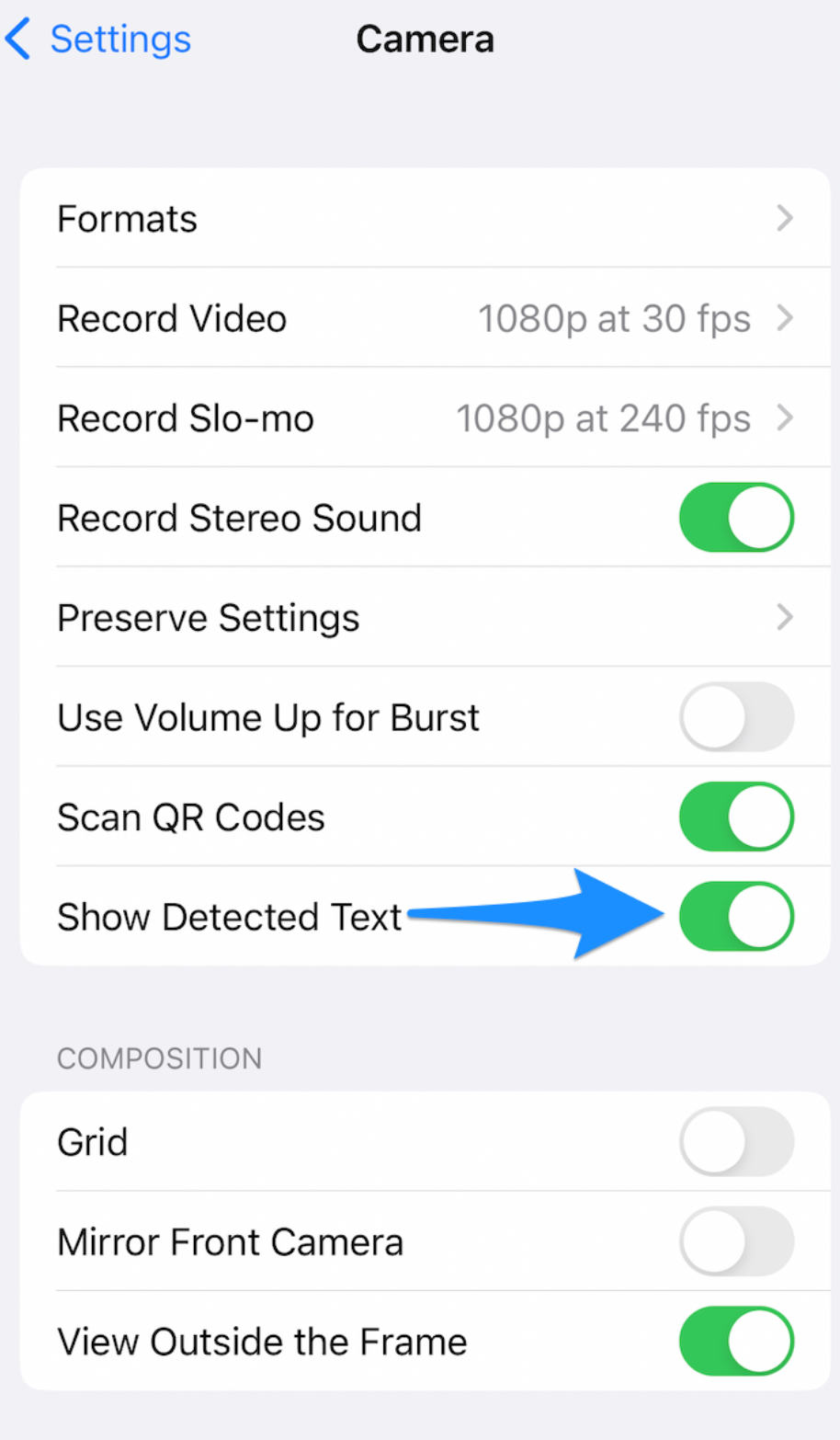 iPhone Camera settings showing the Show Detected Text toggle