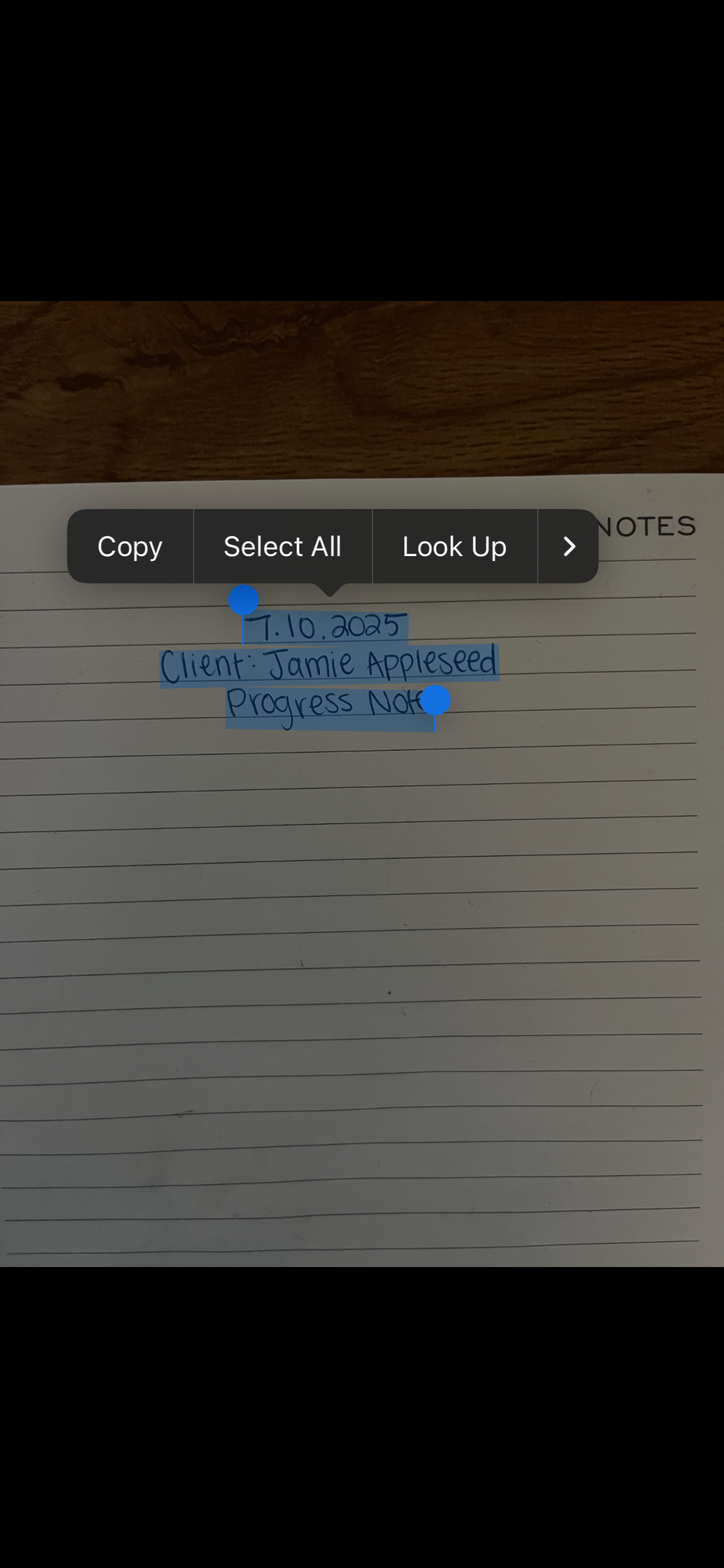 Selecting text from a photo using Live Text on iOS