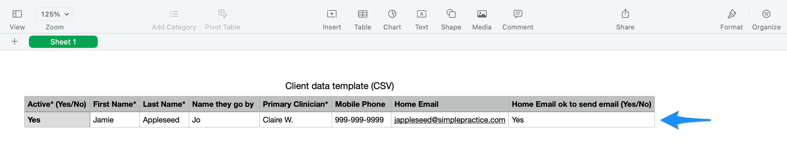 Example client in template with name Jamie Appleseed