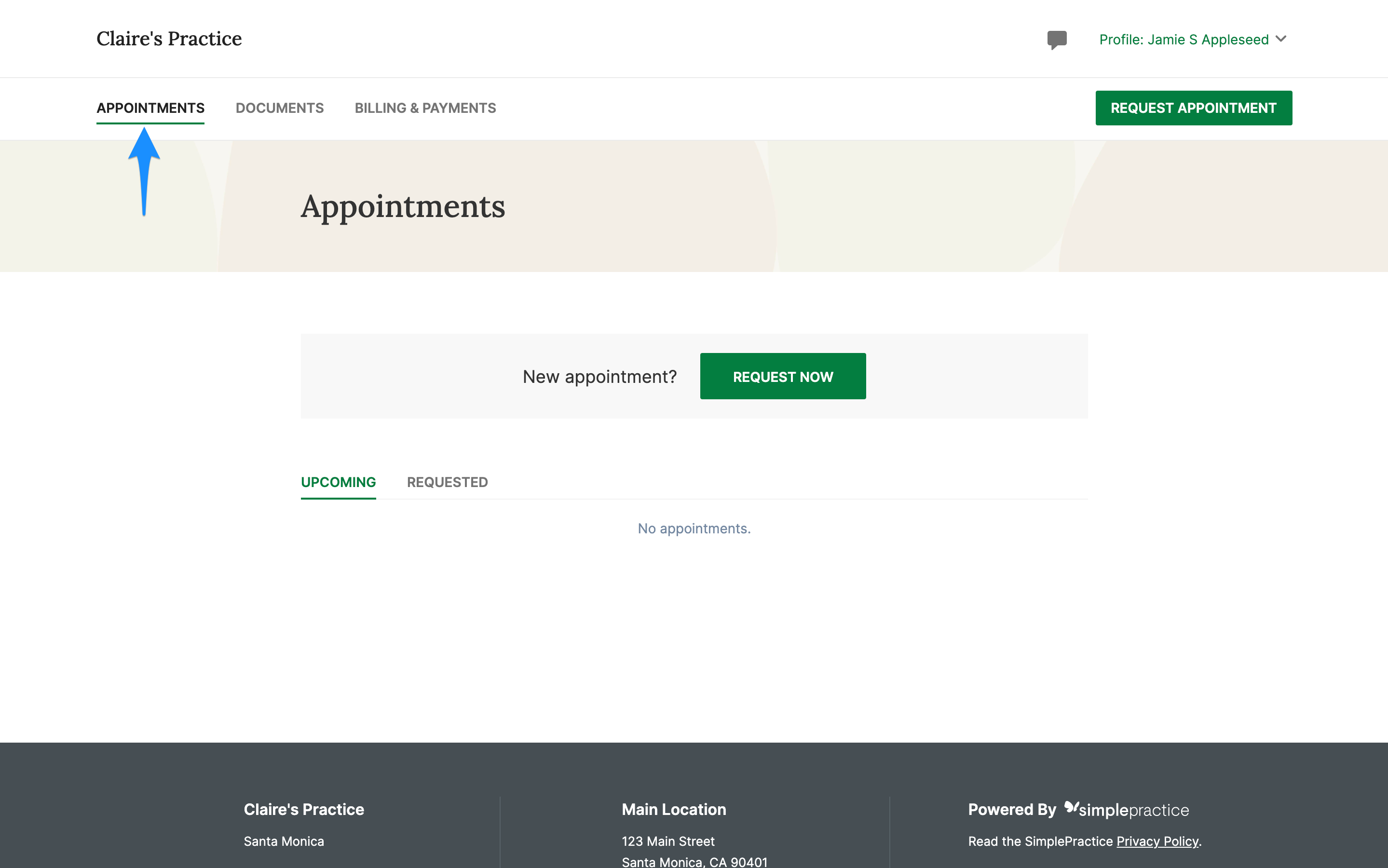 appointmentstab.simplepractice.clientportal.png