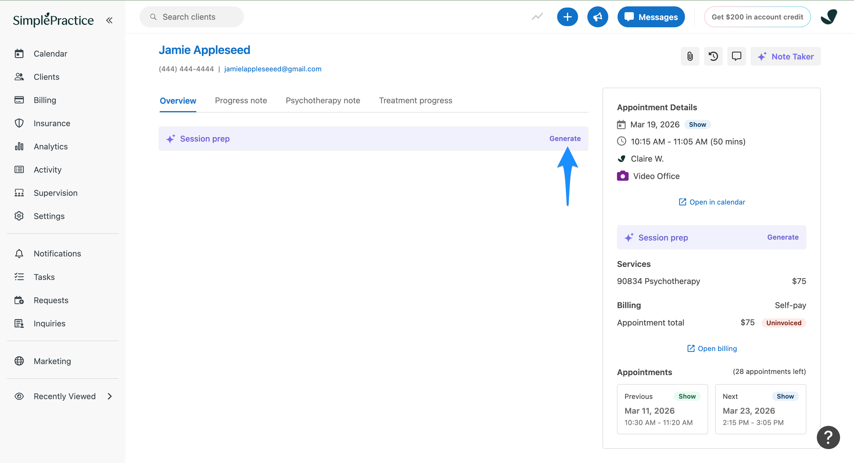 generate.simplepractice.overviewpresummary.png