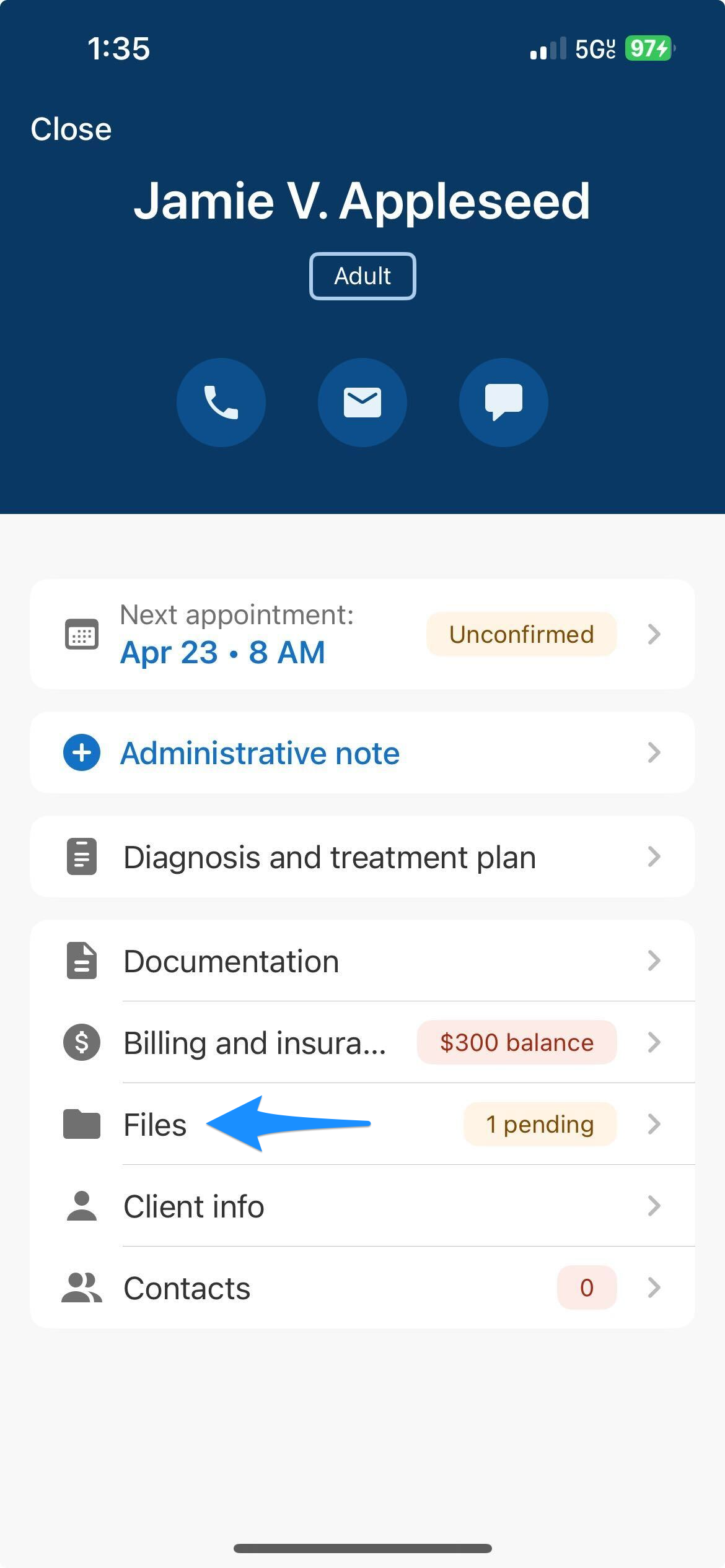 Overview screen on mobile with blue arrow pointing to Files option