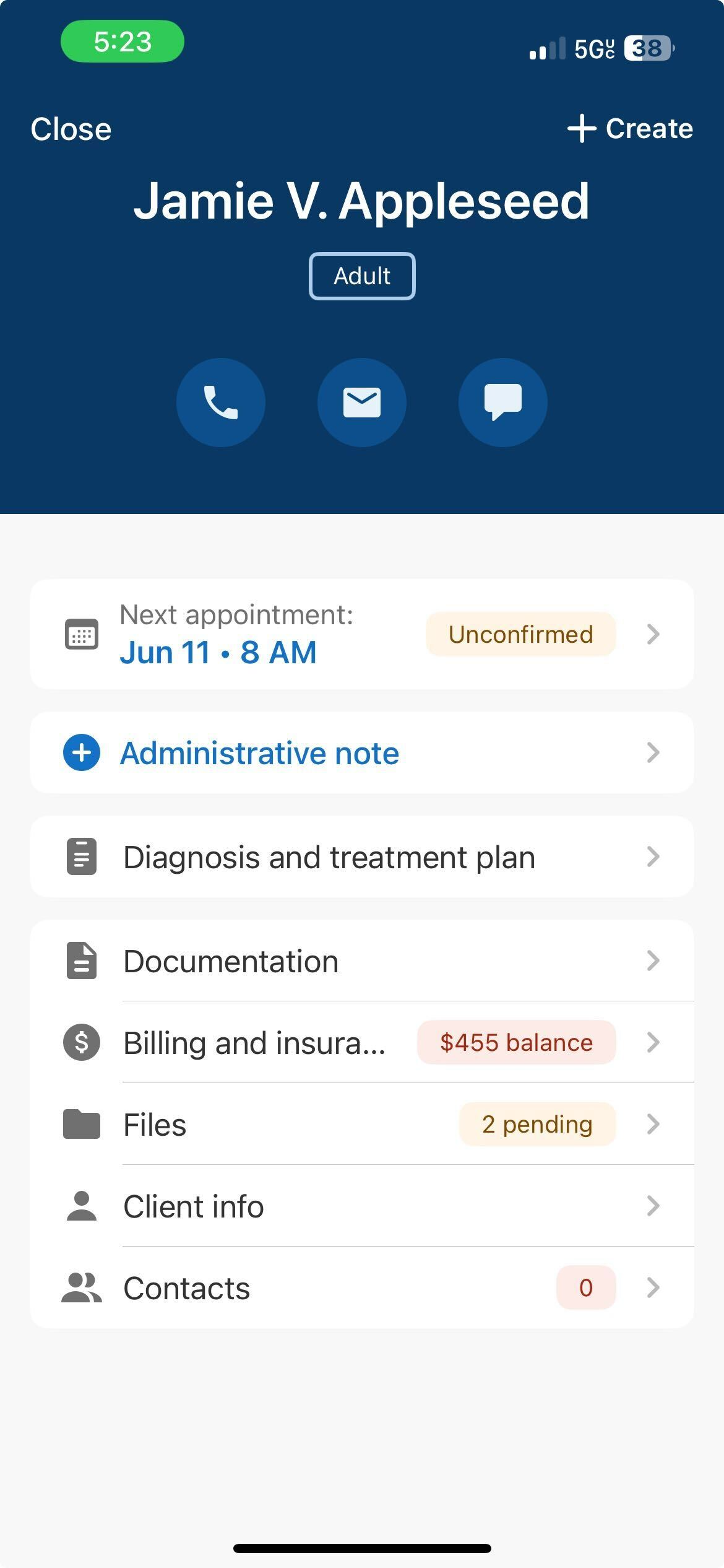 Mobile app client Overview screen displaying quick contact actions, the next appointment status, and navigation cards for notes, treatment plans, documentation, billing and insurance, files, client information, and contacts.