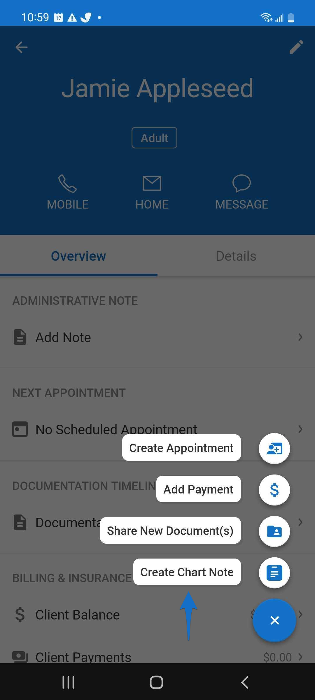Blue arrow points to the Create Chart Note option from the Client Overview