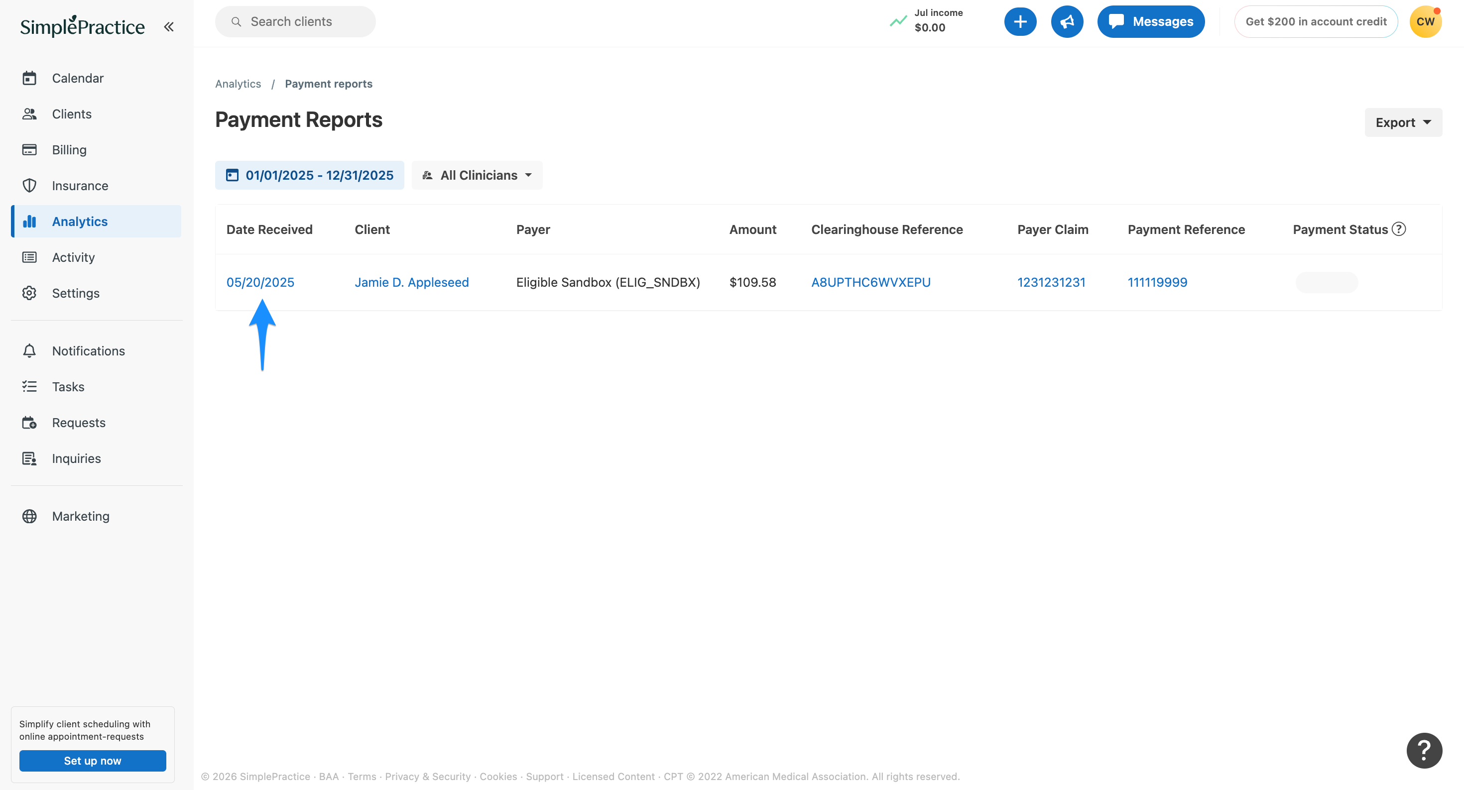 paymentreports.simplepractice.reports.png