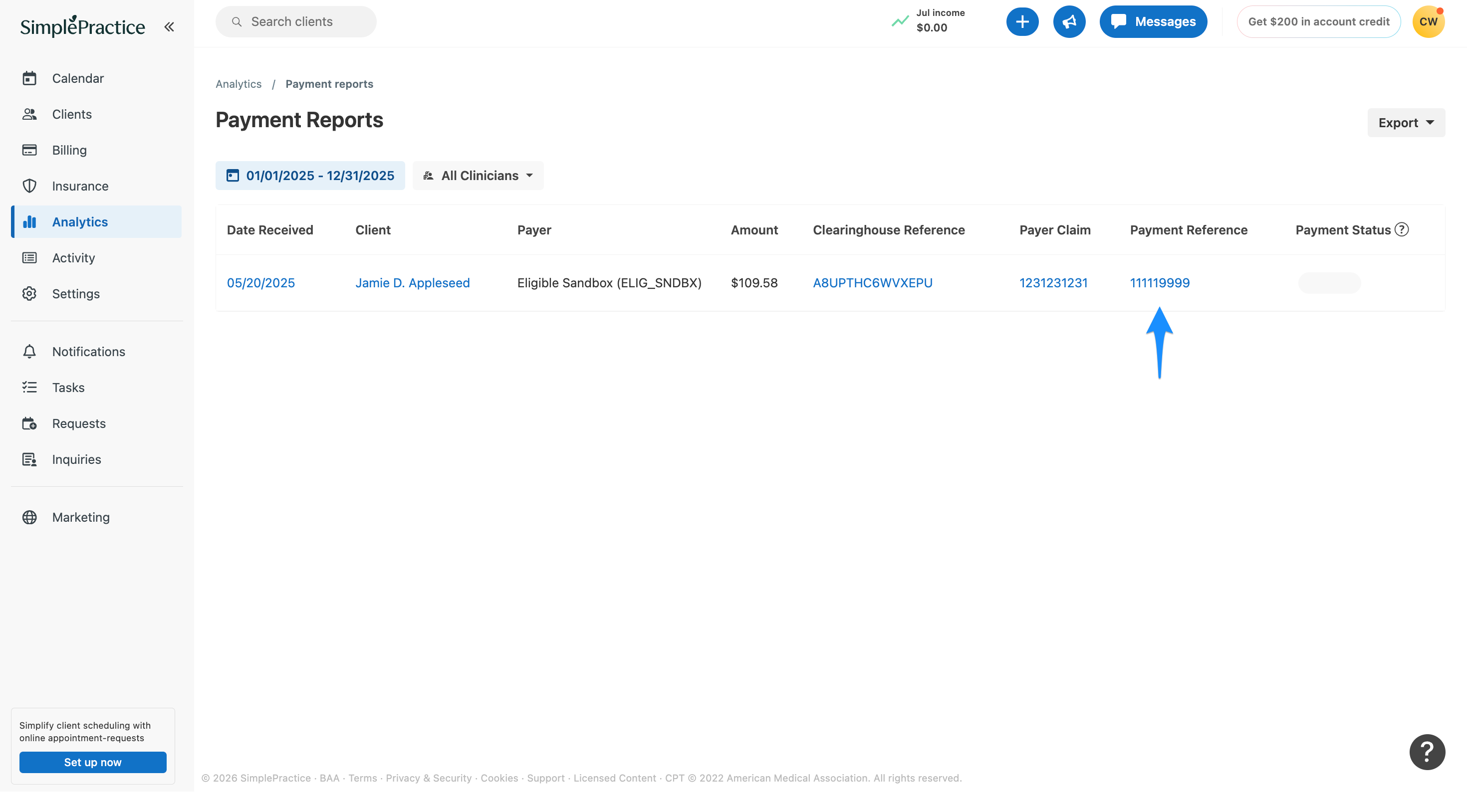 paymentreference.simplepractice.reports.png