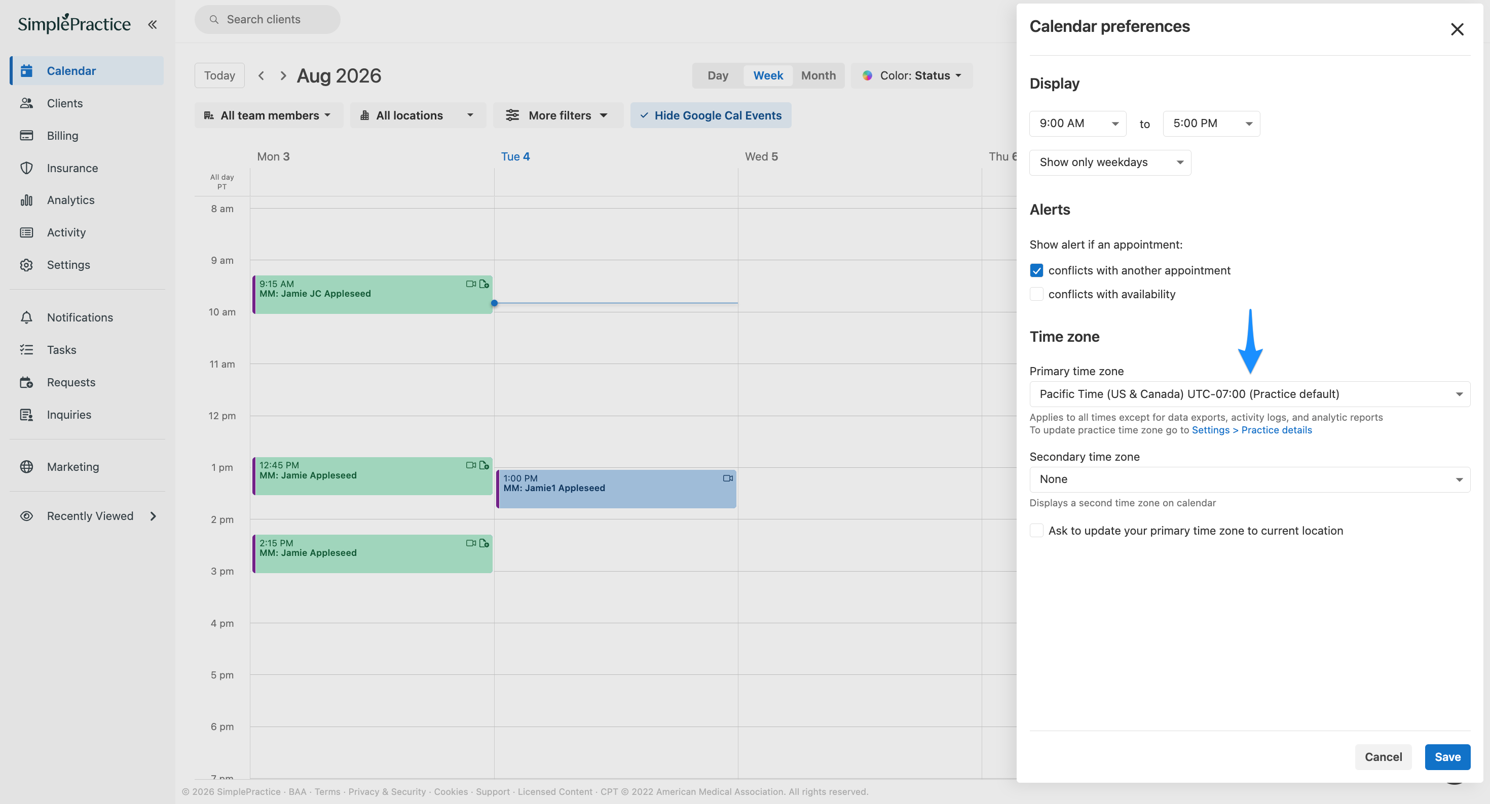 Calendar preferences panel showing the Primary time zone setting.