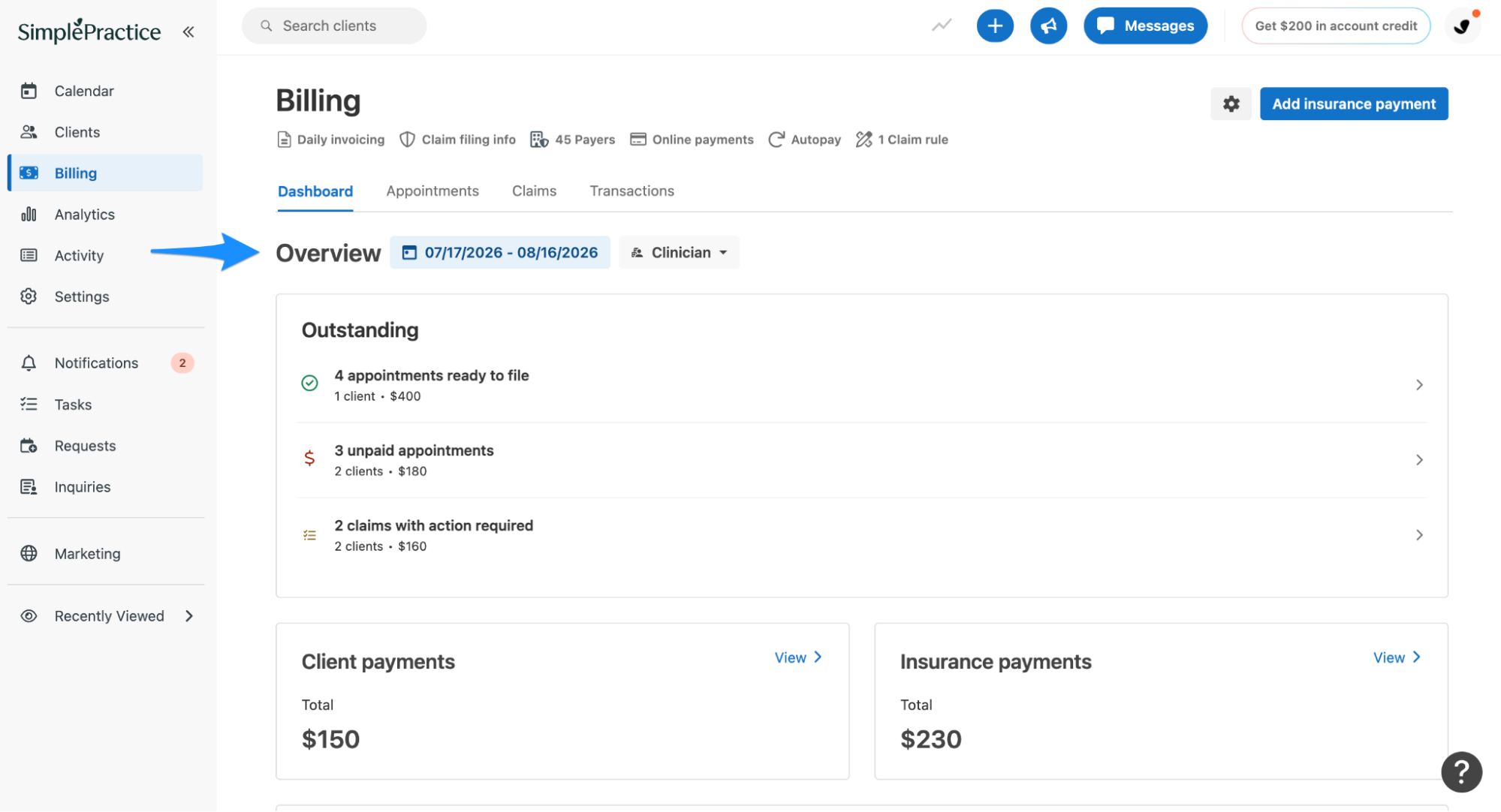 dashboardoverview.simplepractice.hub.png