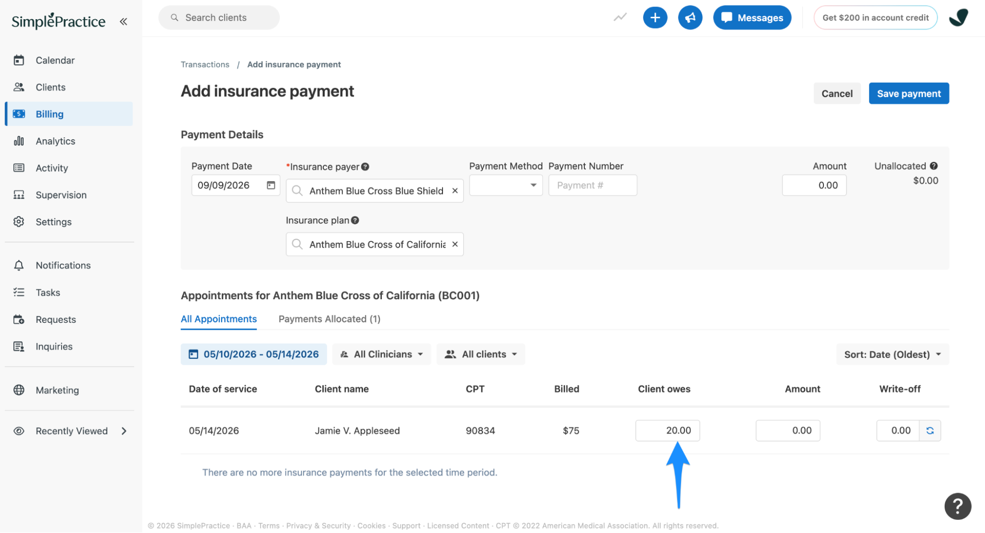 clientowes20.simplepractice.insurance.png