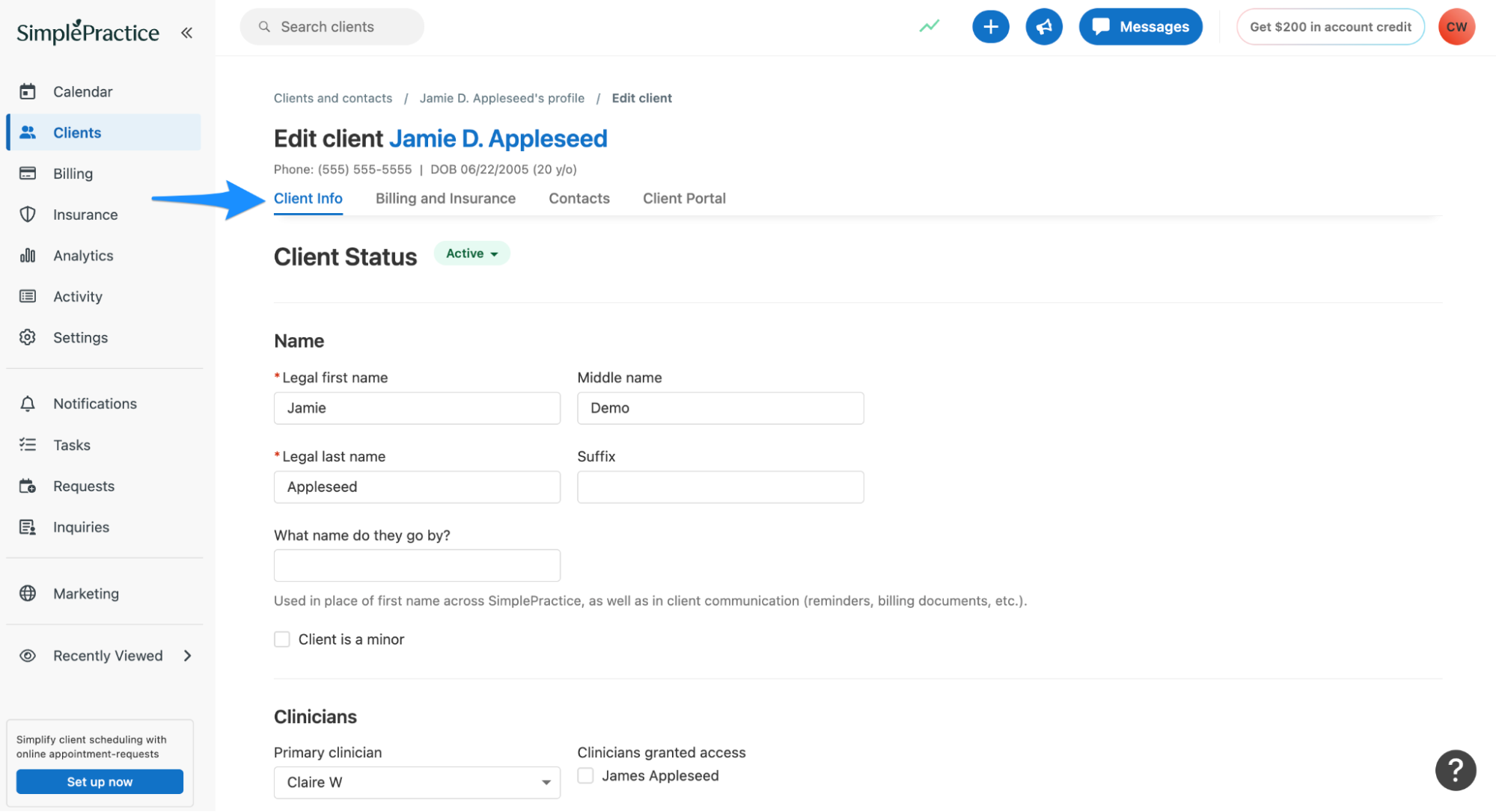 clientinfo.simplepractice.insurance.png