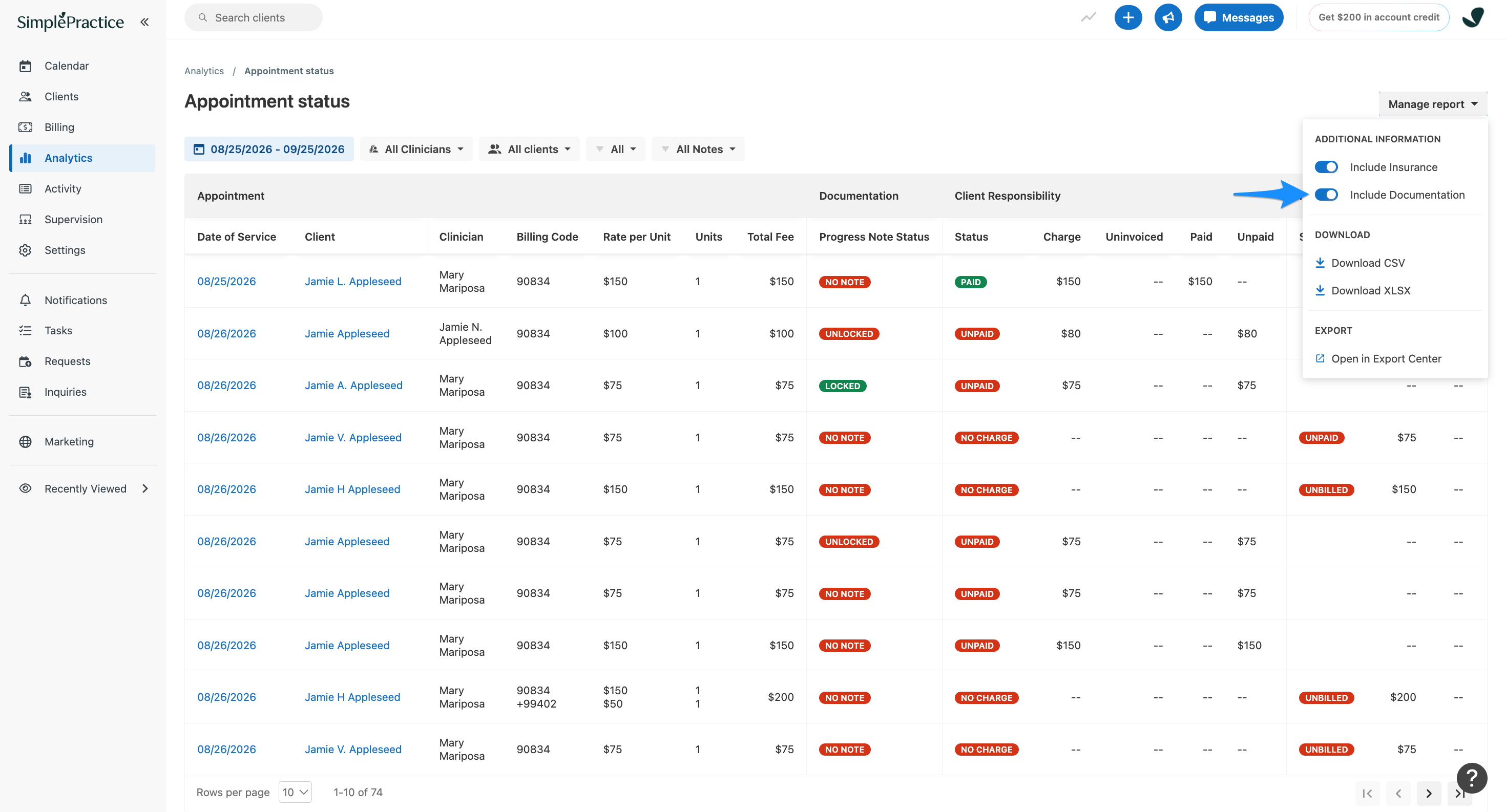 Blue arrow points to the Include Documentation toggle in the Manage report menu.